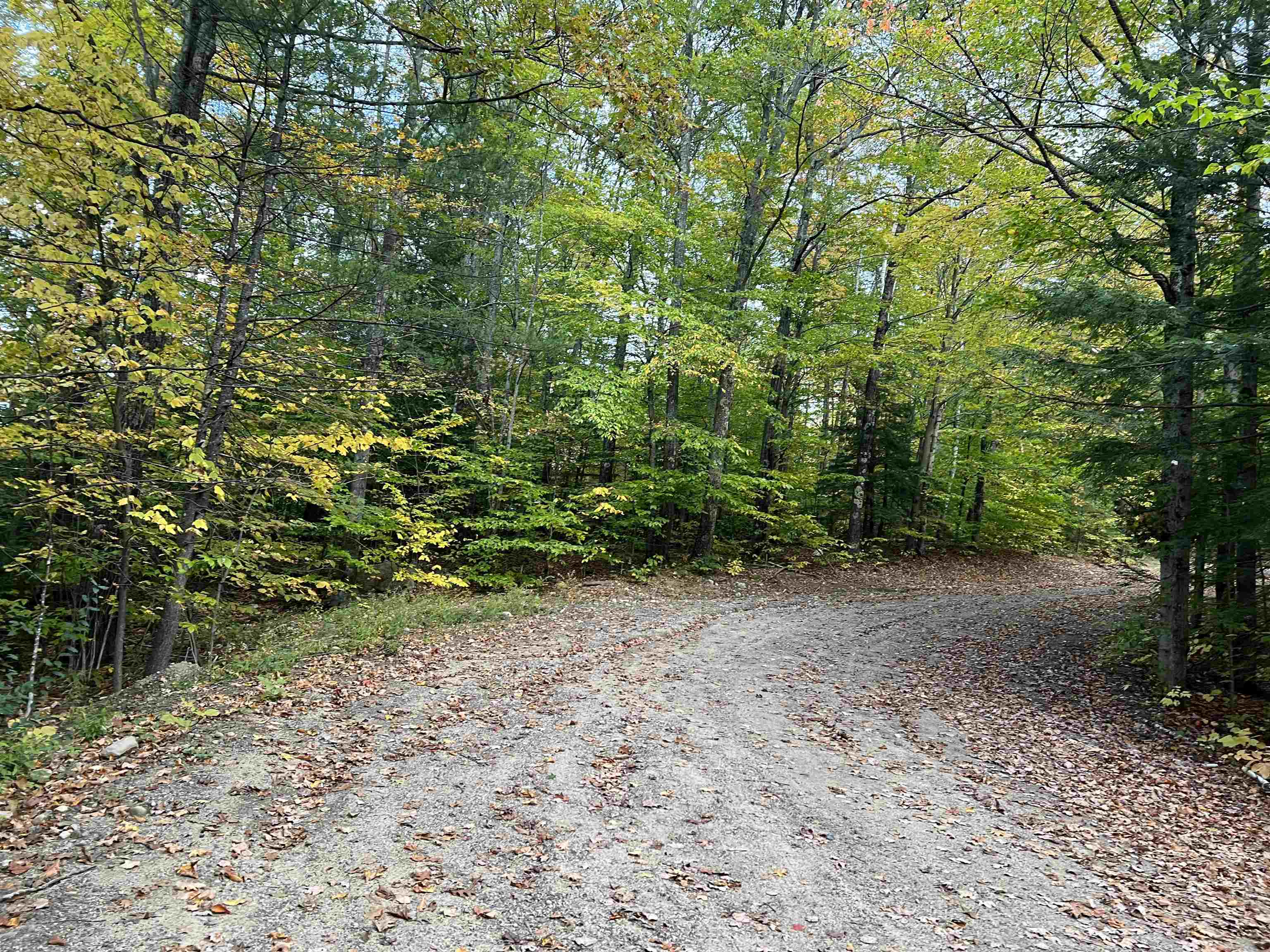 MLS #5068632 image #8