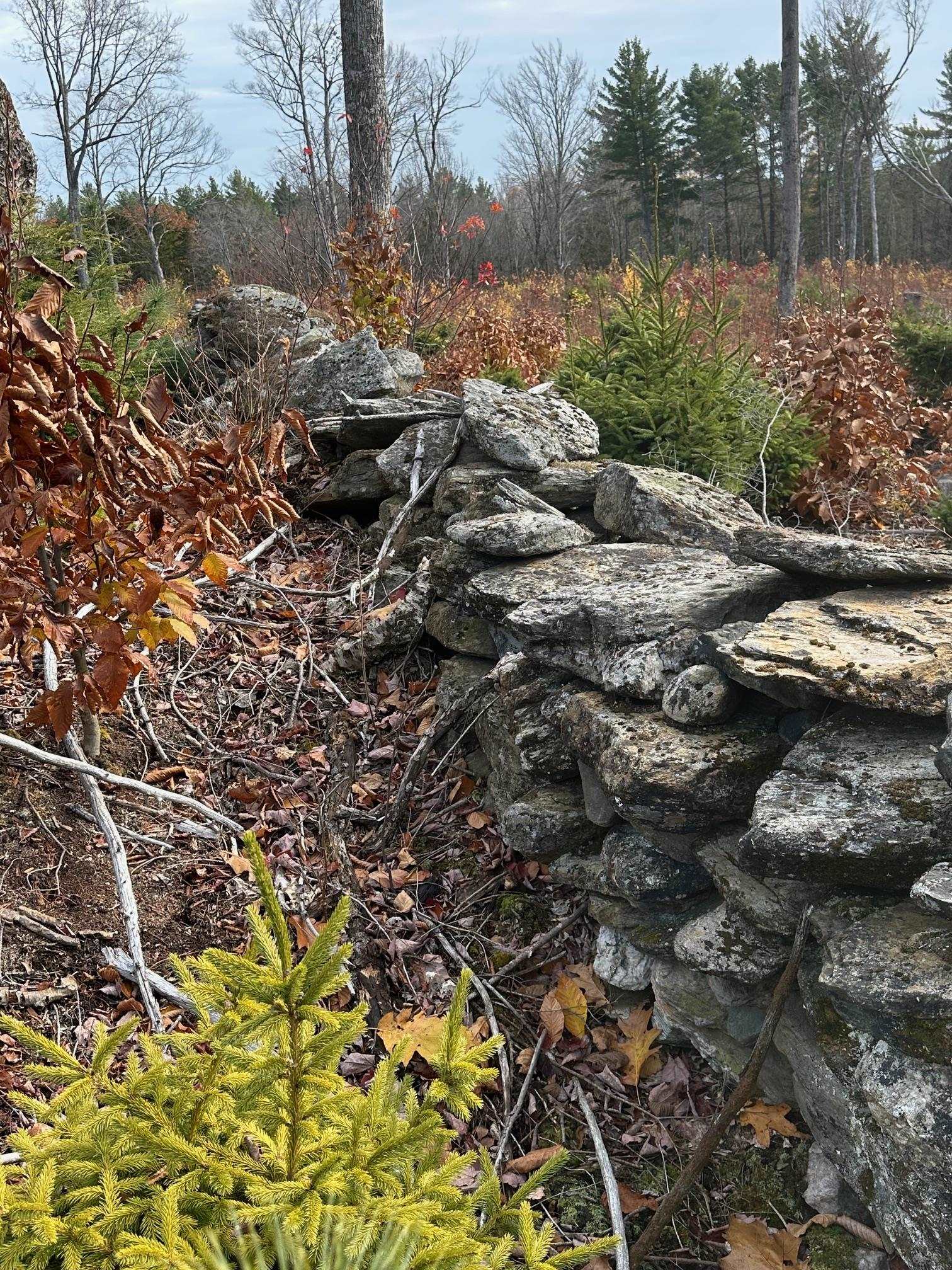 Homes for sale in Wardsboro, VT | 227 Gault Rd, Wardsboro, VT 05355 | MLS# 5068683