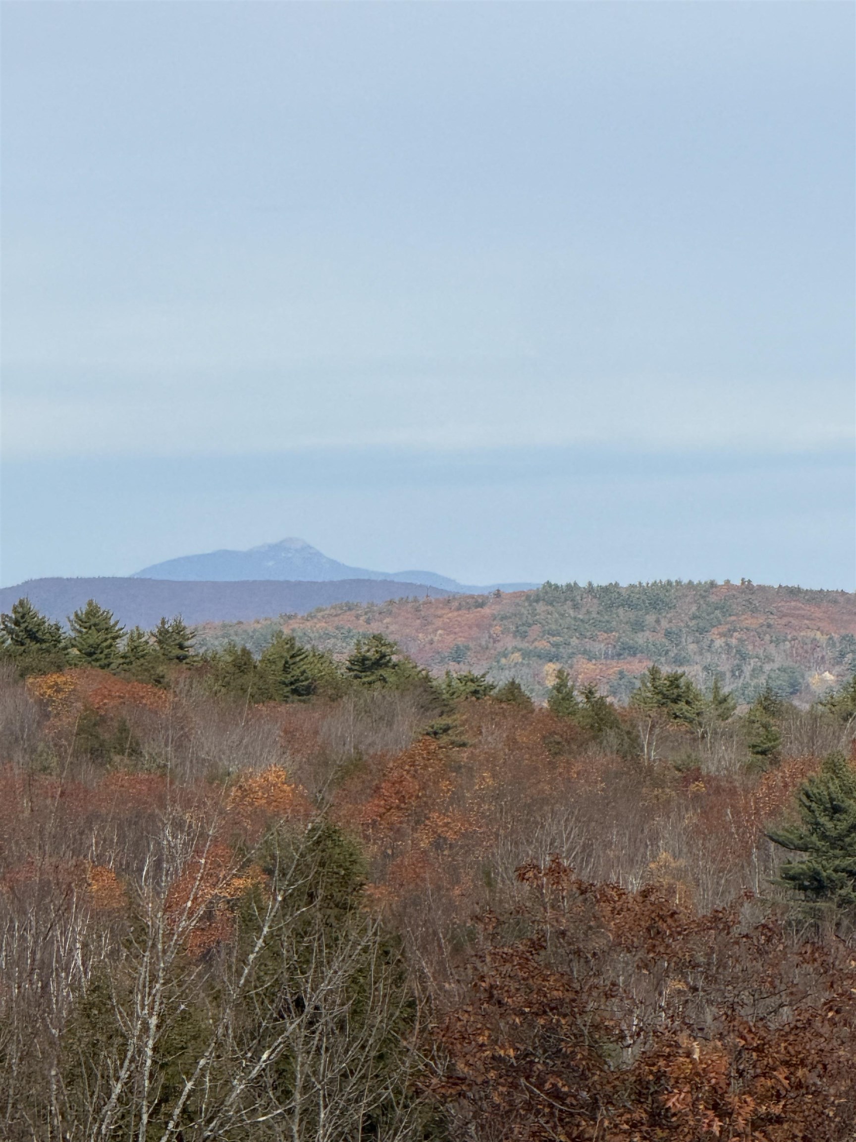 MLS #5068687 image #38