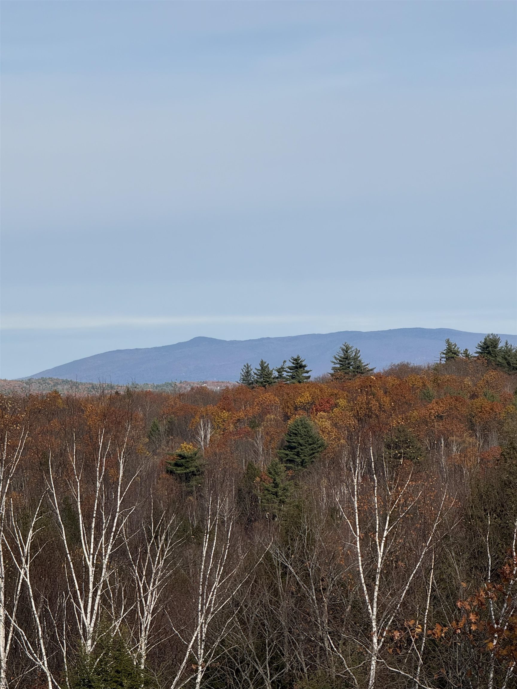 MLS #5068687 image #41