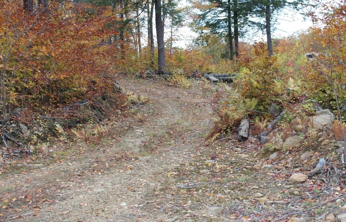 MLS #5068718 image #7