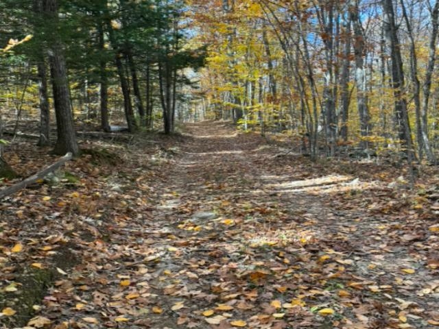 MLS #5068718 image #8