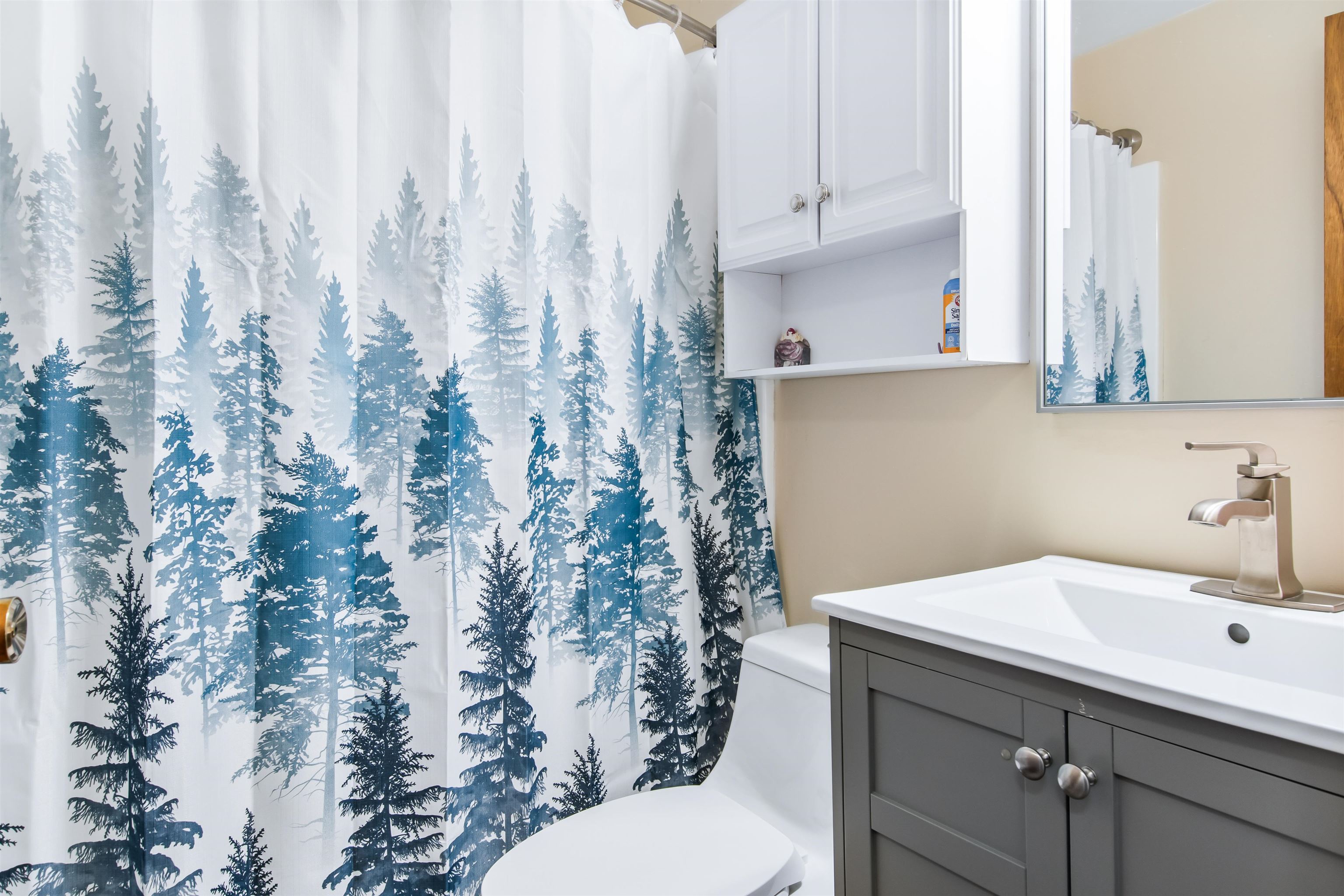 MLS #5068719 image #11