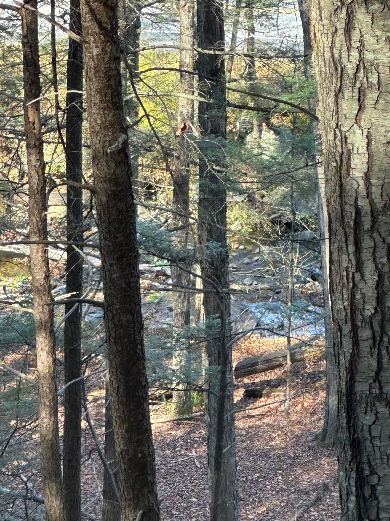 Homes for sale in Brattleboro, VT | 0 Cooke Rd, Brattleboro, VT 05301 | MLS# 5068751