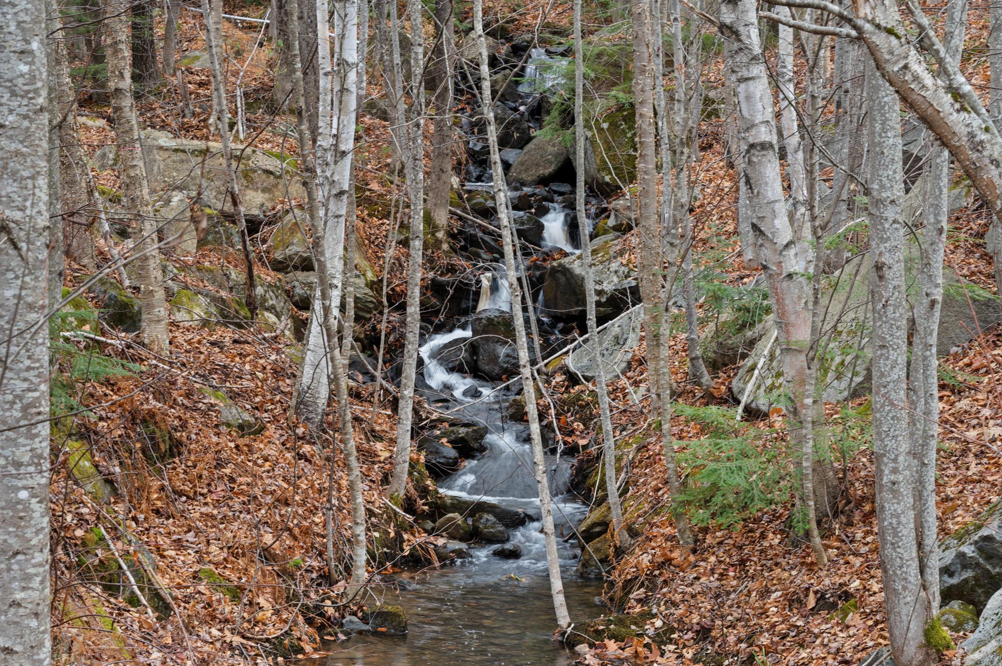 MLS #5068761 image #28