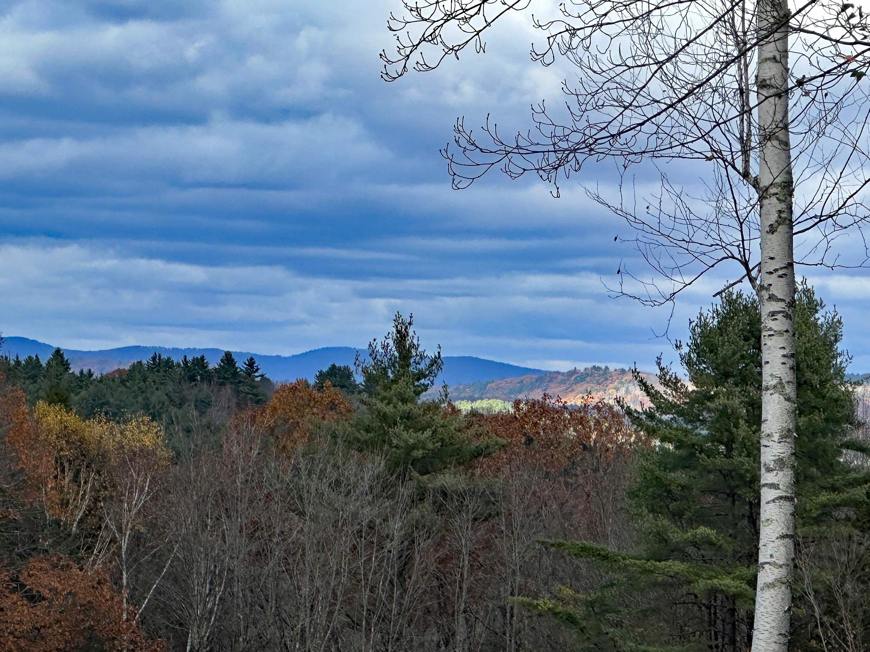 MLS #5068779 image #5