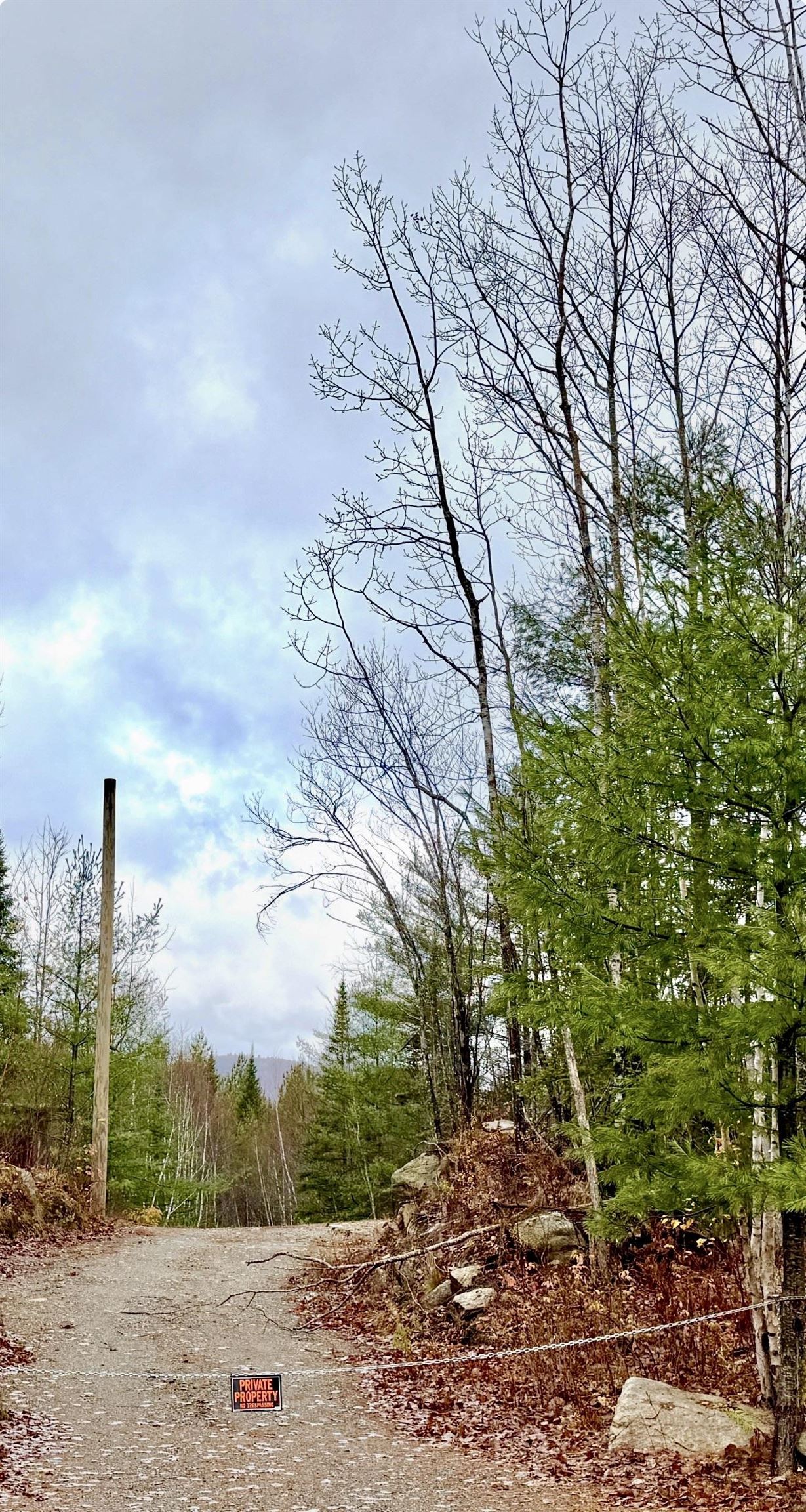 Homes for sale in Bethlehem, NH | 61 Thorn Hill Rd, Bethlehem, NH 03574 | MLS# 5068829