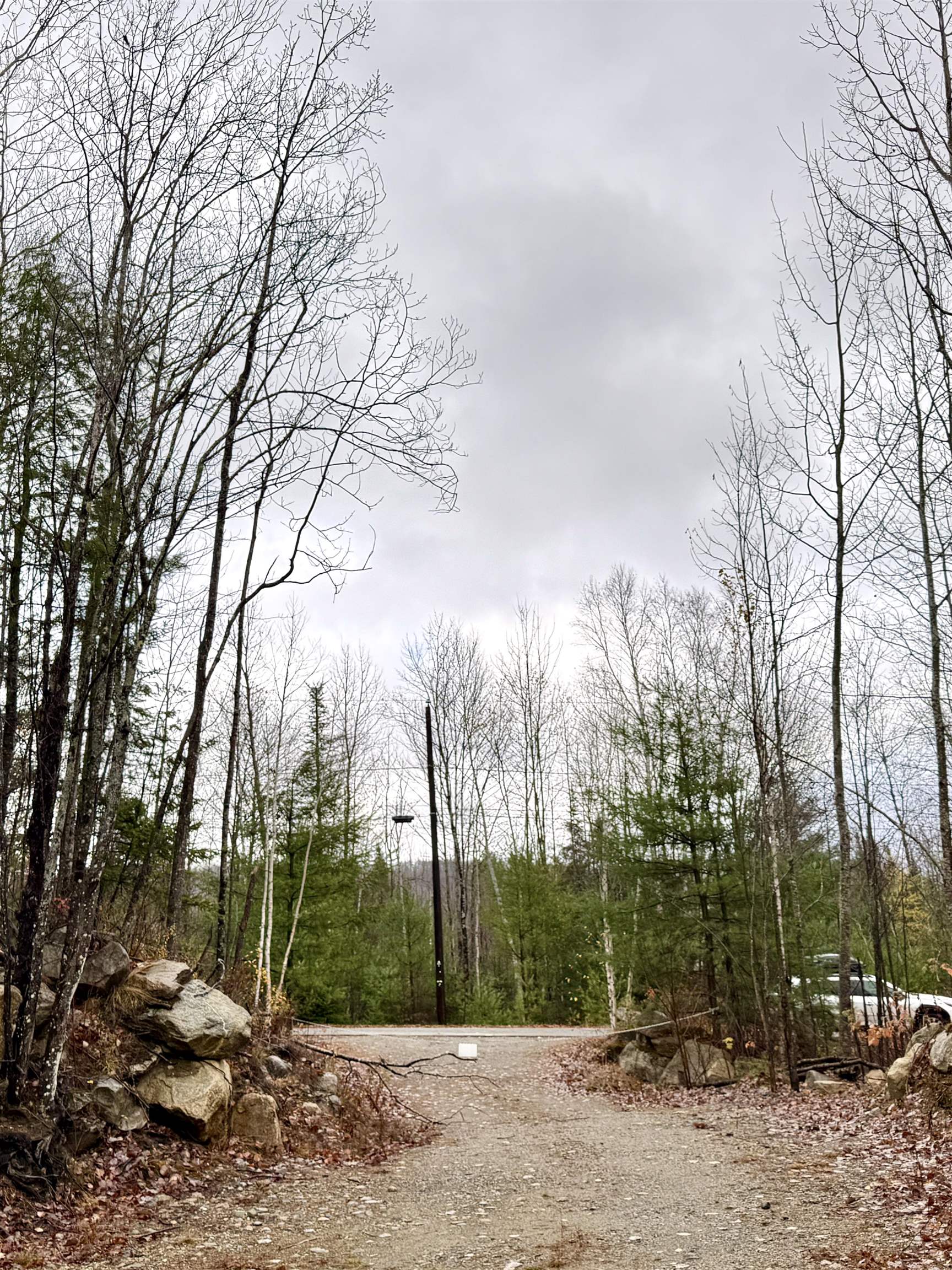 61 Thorn Hill Rd, Bethlehem, NH 03574