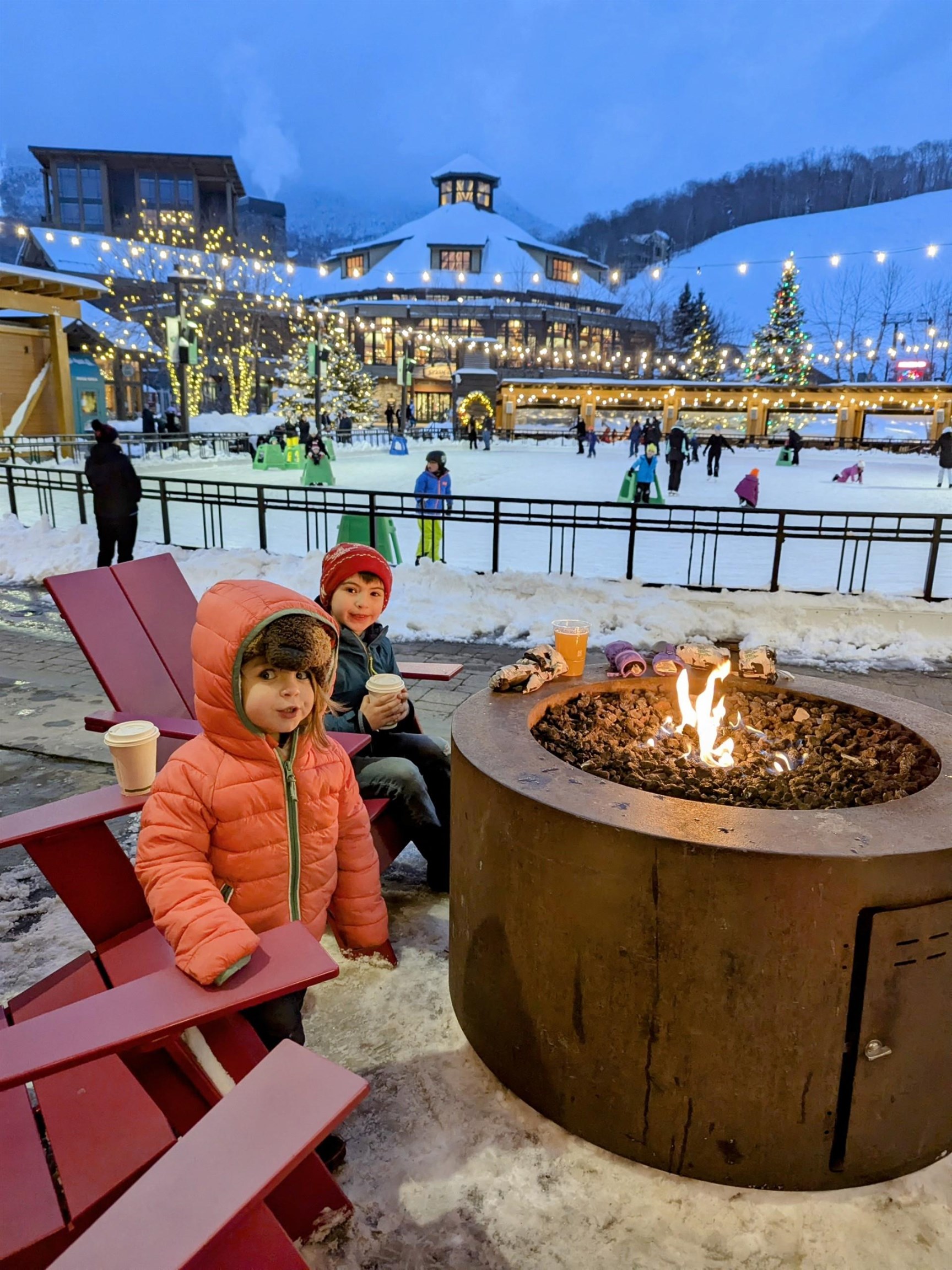 Homes for sale in Stowe, VT | 220 Mountainside Dr #E203, Stowe, VT 05672 | MLS# 5068874