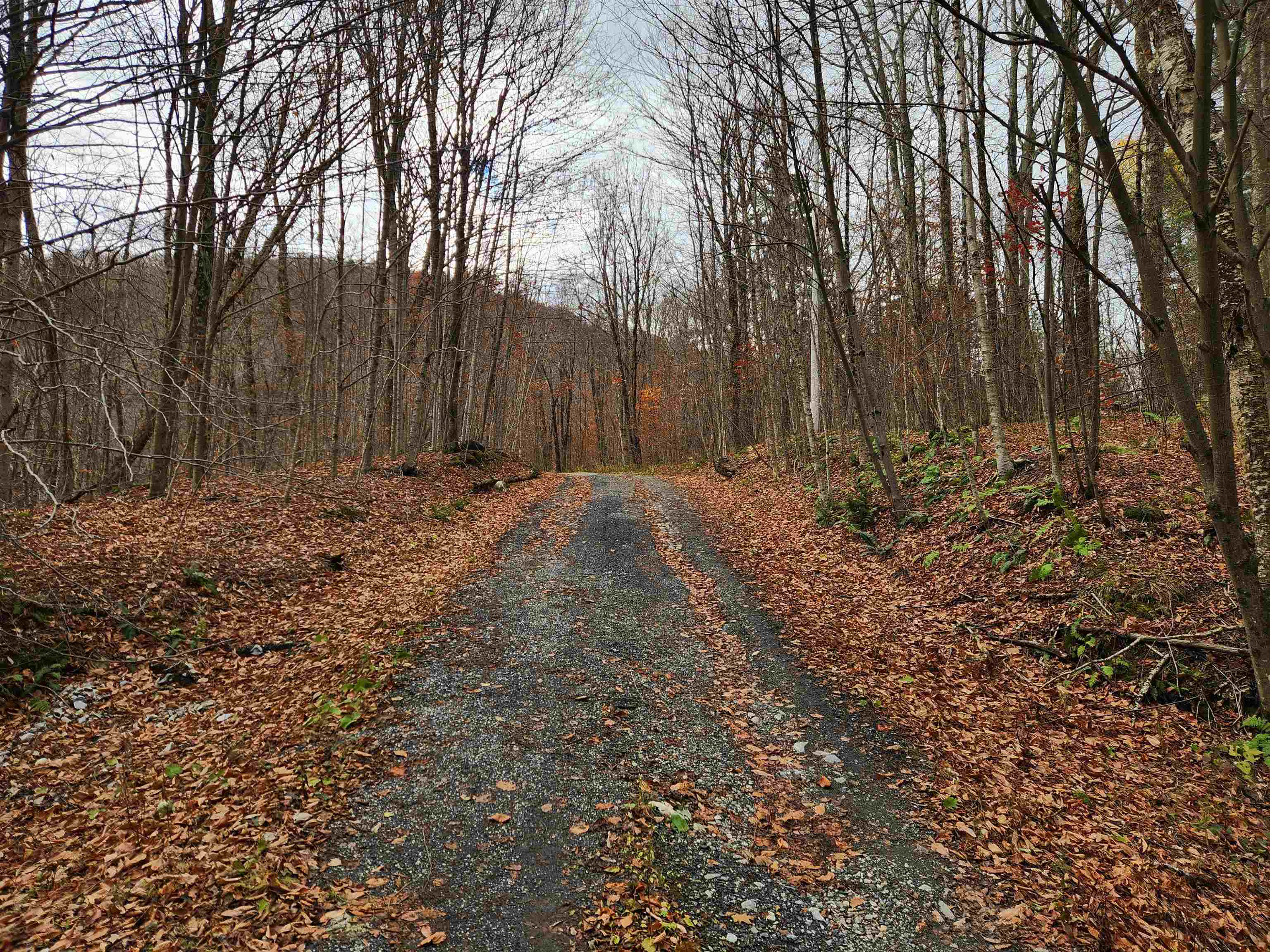 Homes for sale in Danby, VT | 1266 Little Village Rd, Danby, VT 05761 | MLS# 5068889