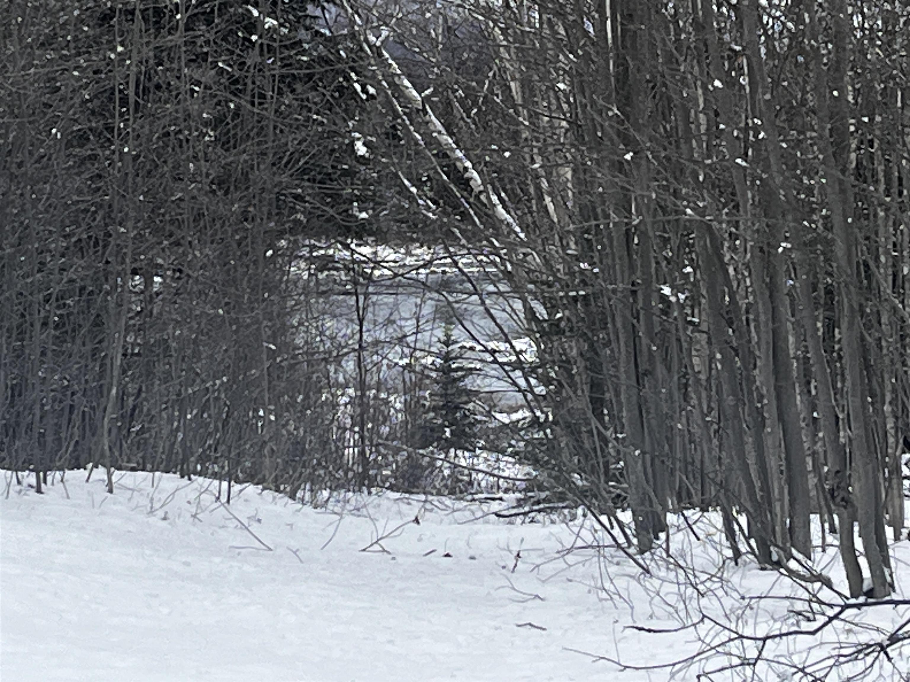 Homes for sale in Westfield, VT | 2872 Balance Rock Rd, Westfield, VT 05874 | MLS# 5068898