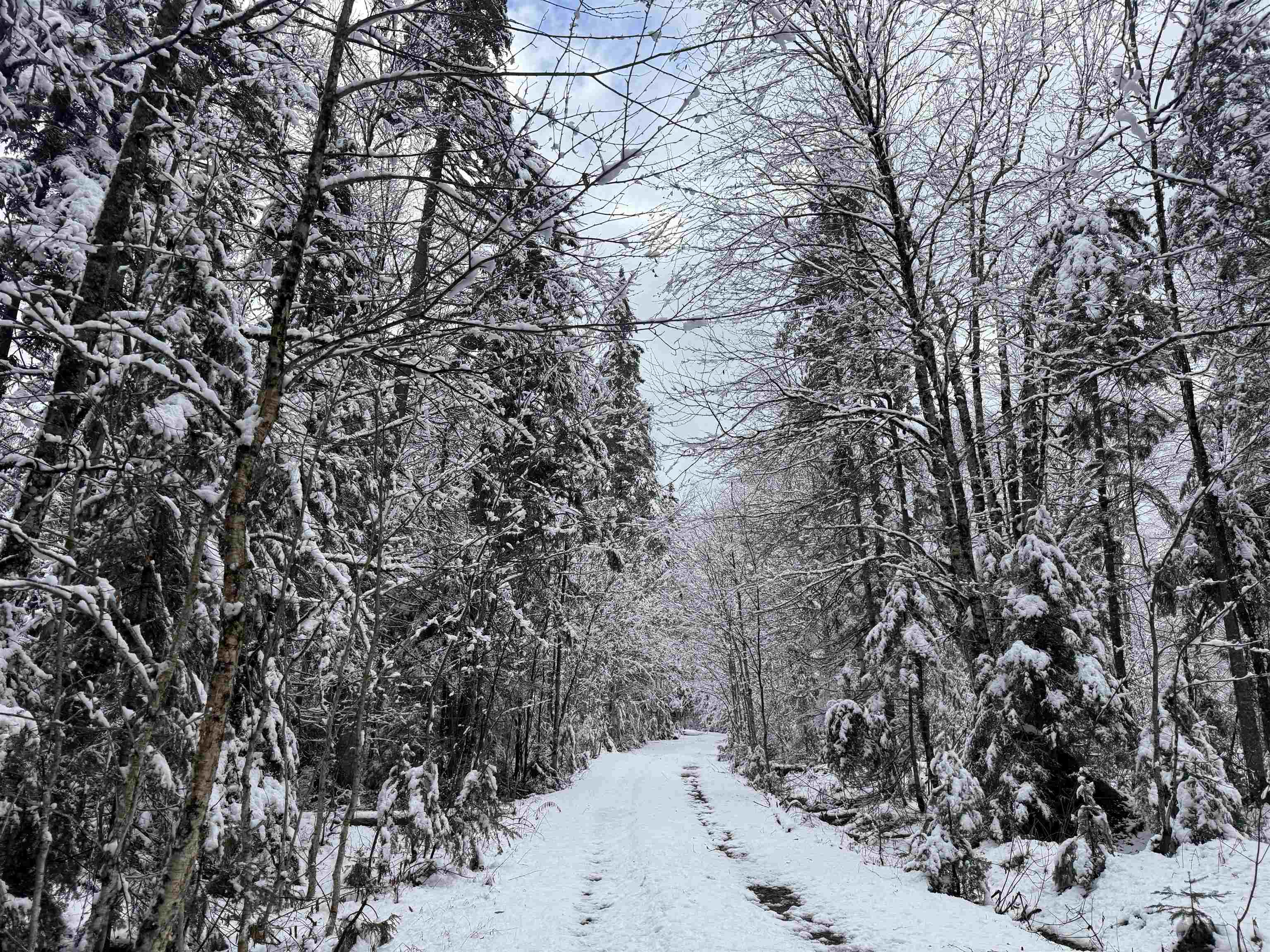 Homes for sale in Averill, VT | 3563 East Branch Rd, Averill, VT 05901 | MLS# 5068902