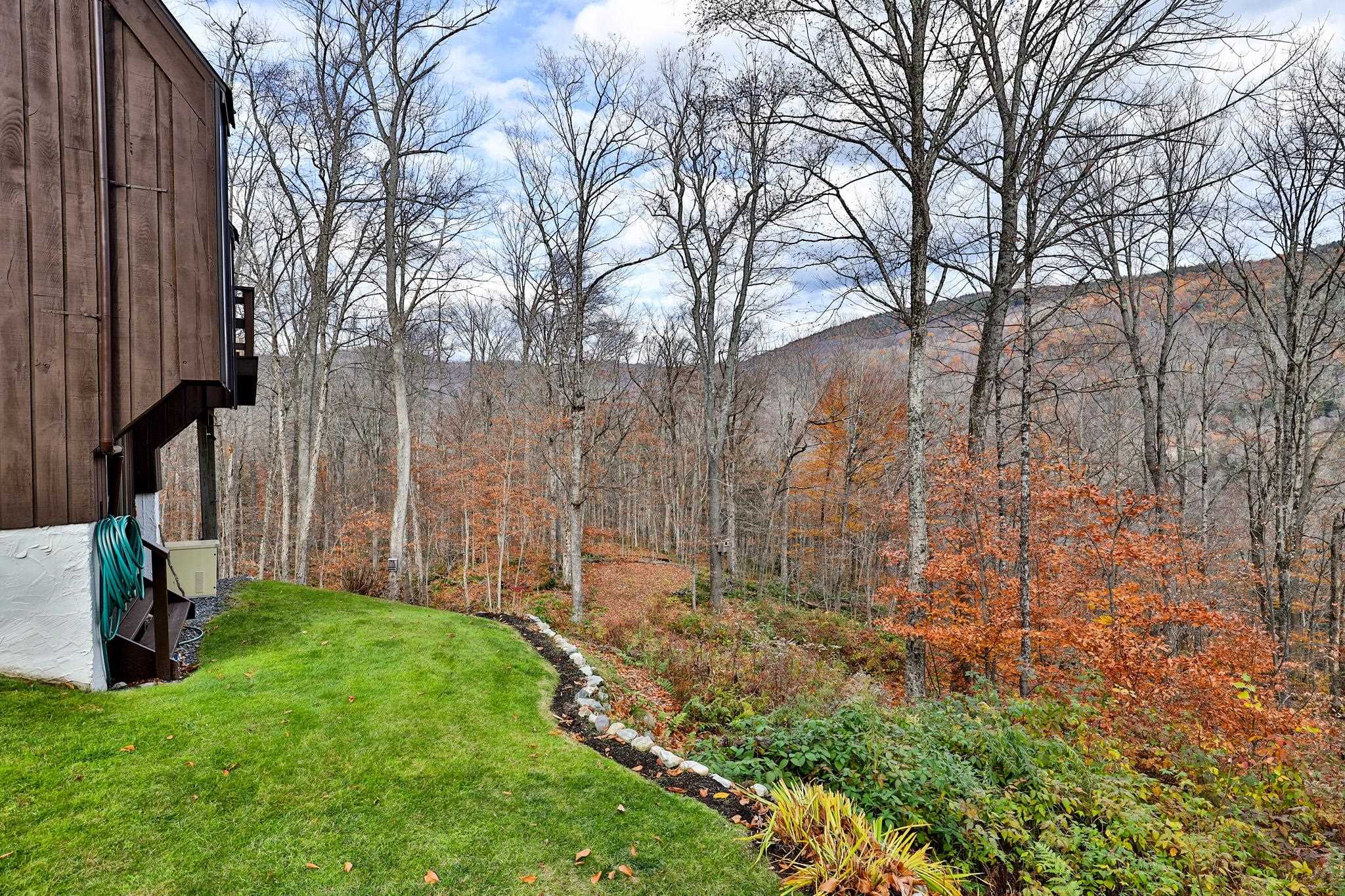 MLS #5068927 image #40