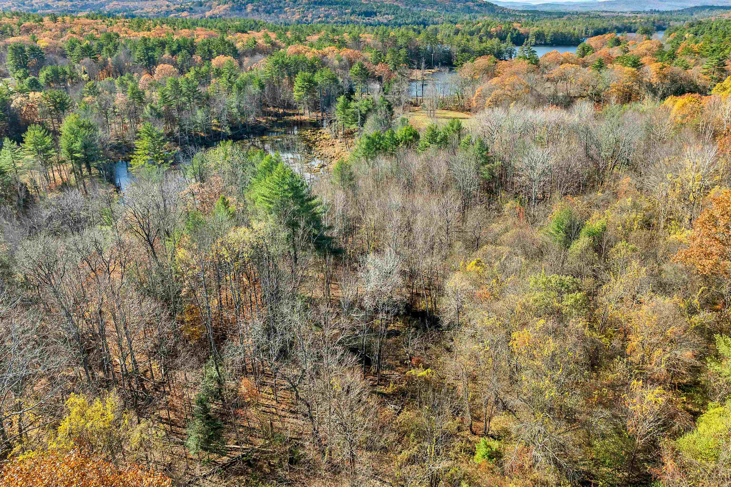 MLS #5068972 image #11