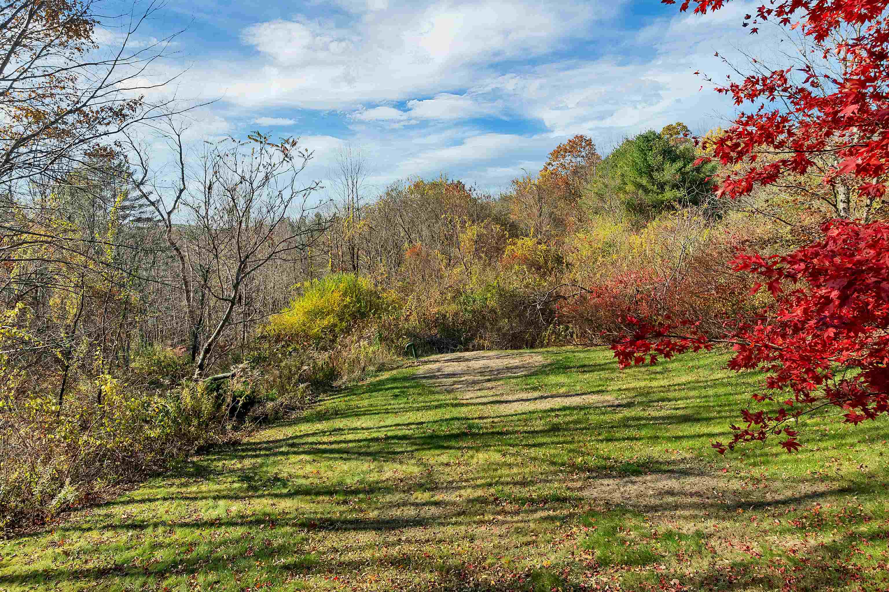 MLS #5068972 image #13