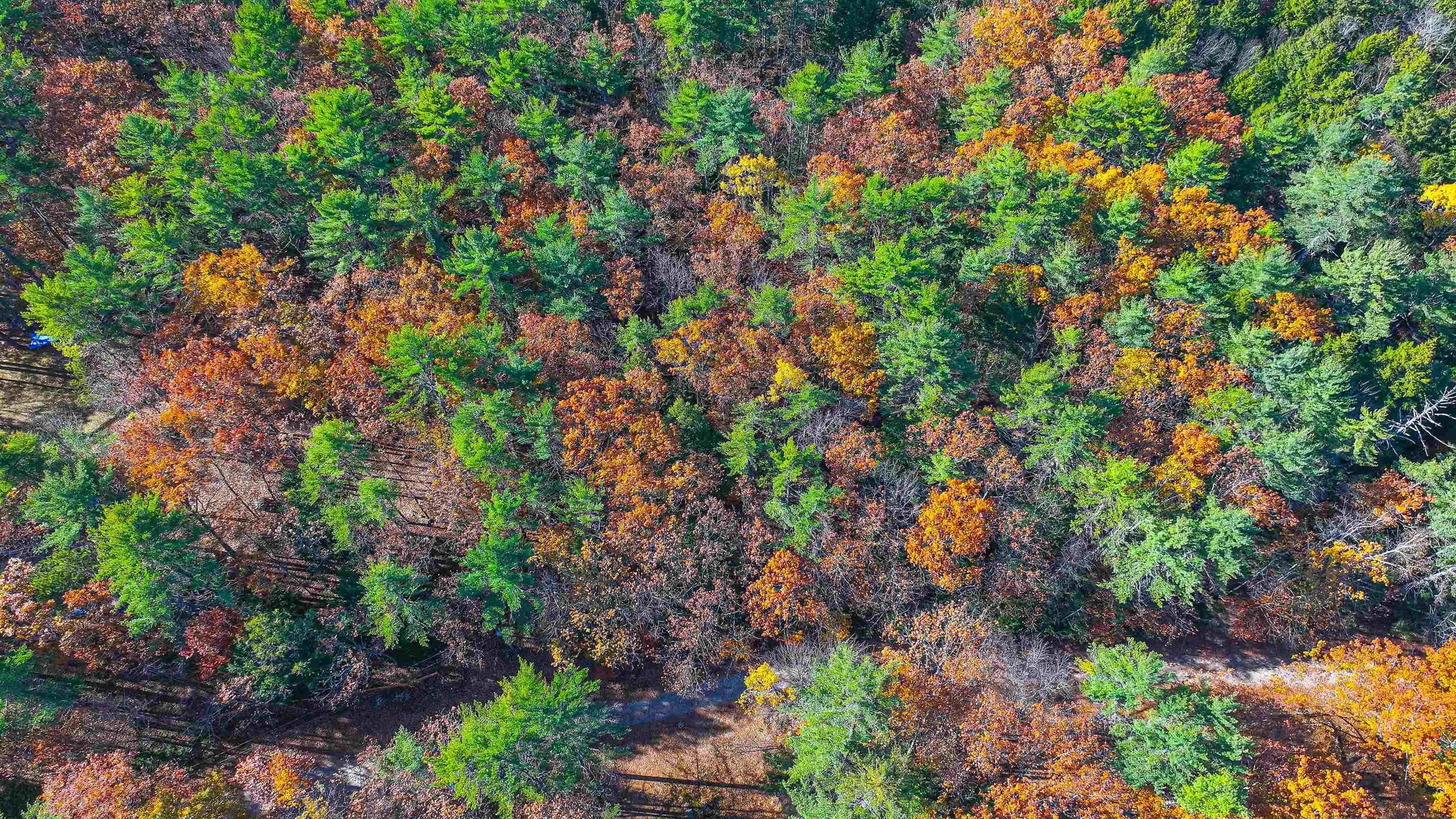 MLS #5068993 image #39