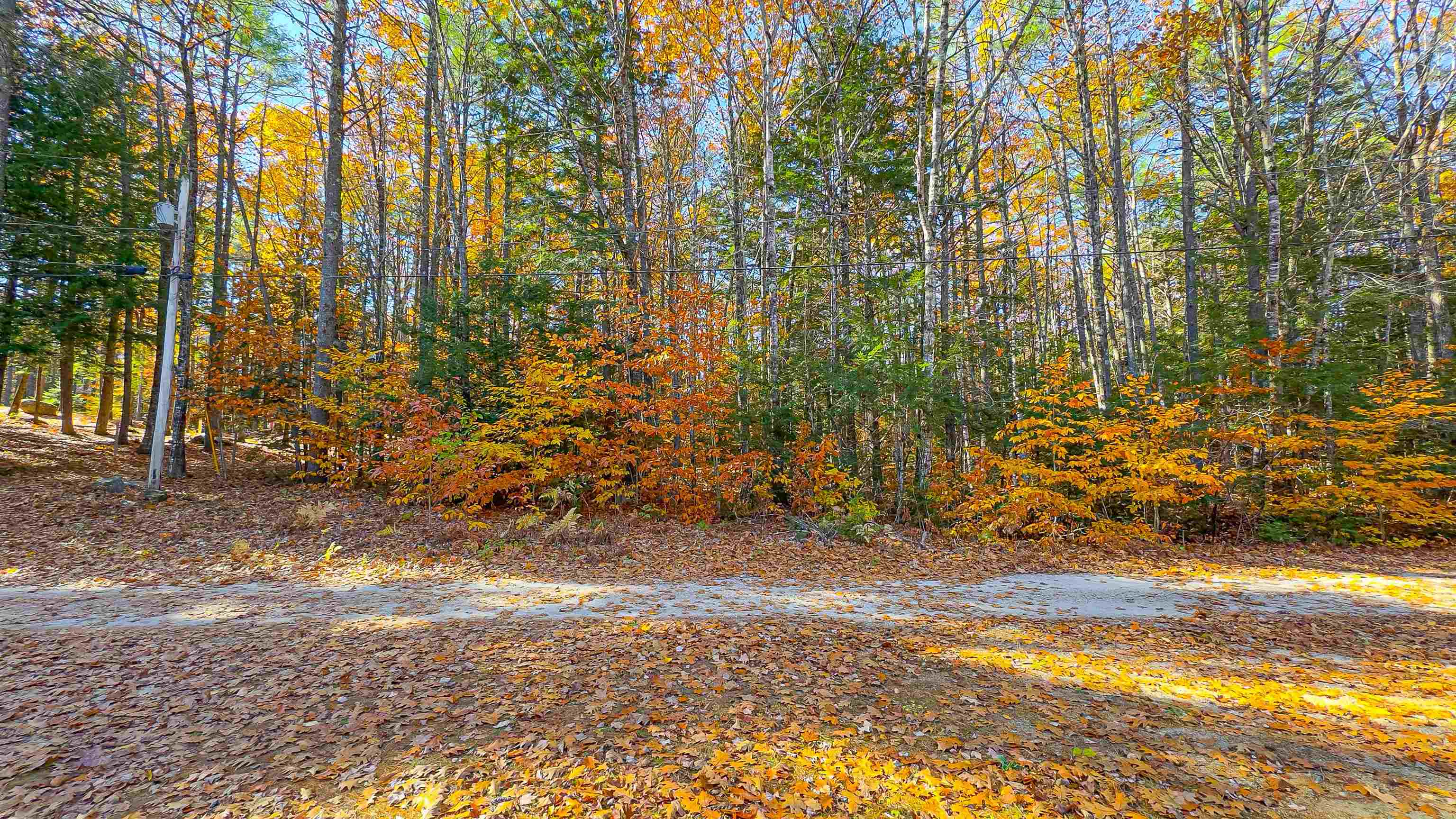 MLS #5068993 image #40