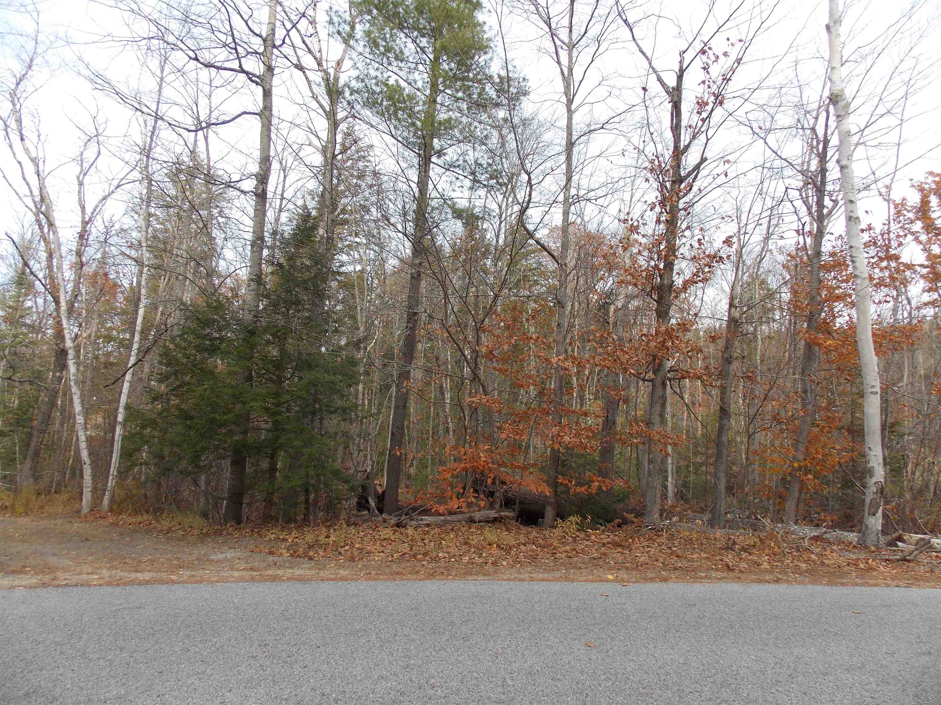 Homes for sale in Bartlett, NH | Lot 49 Mittenwald Strasse Rd, Bartlett, NH 03812 | MLS# 5069007