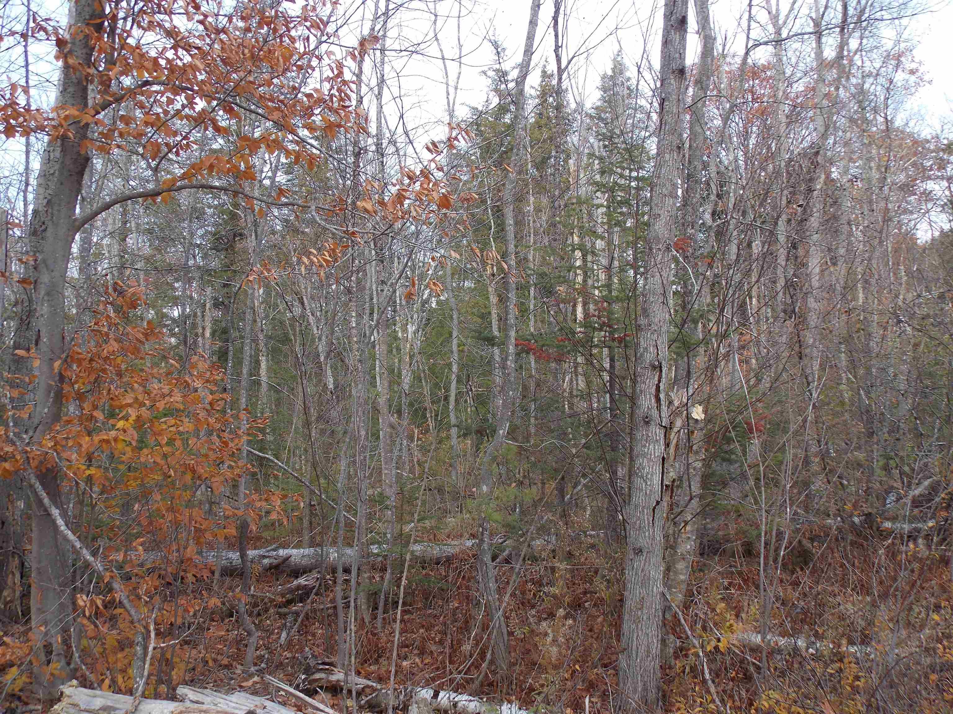 Lot 49 Mittenwald Strasse Rd, Bartlett, NH 03812