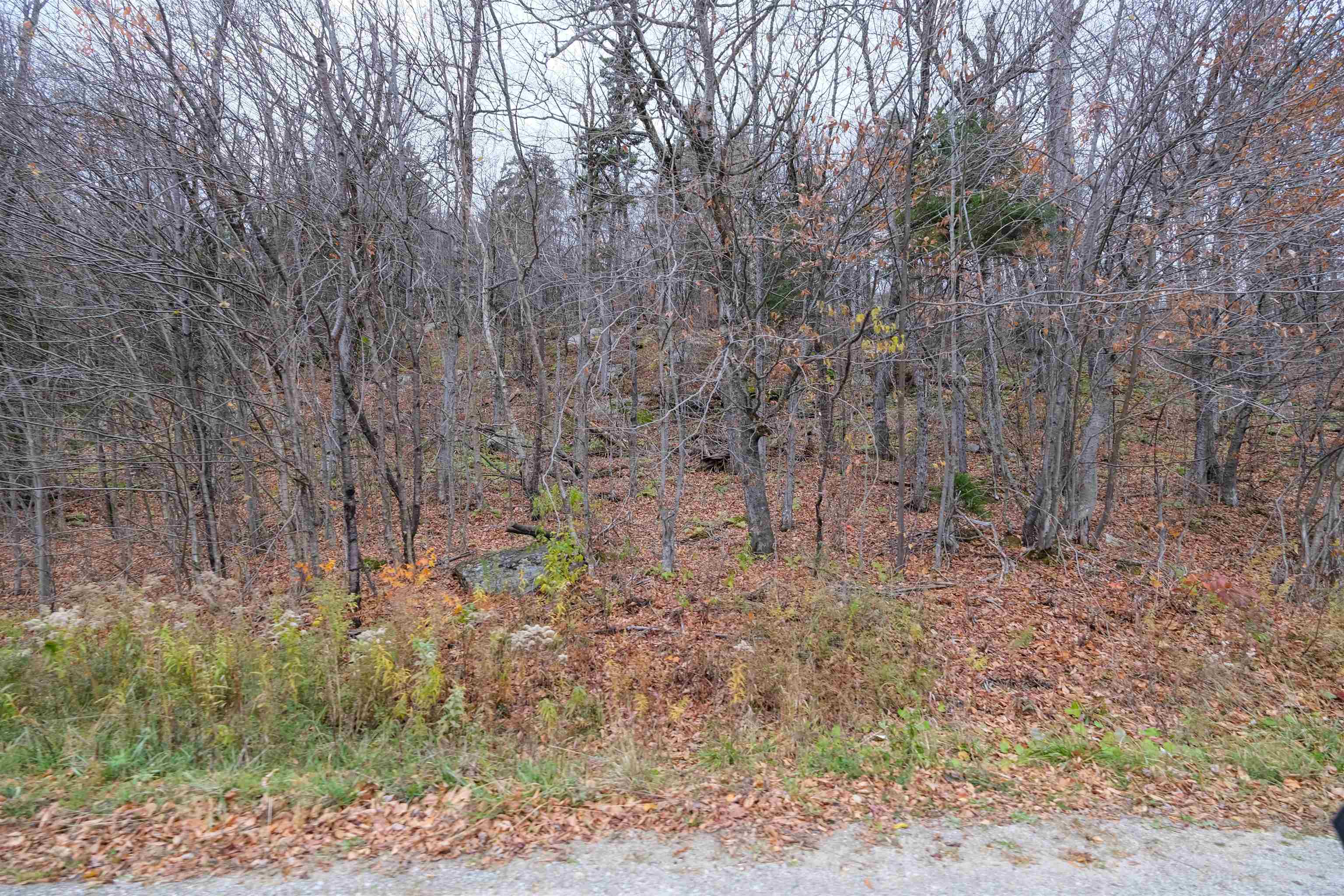 Homes for sale in Ludlow, VT | 0 Mountain Rd, Ludlow, VT 05149 | MLS# 5069010