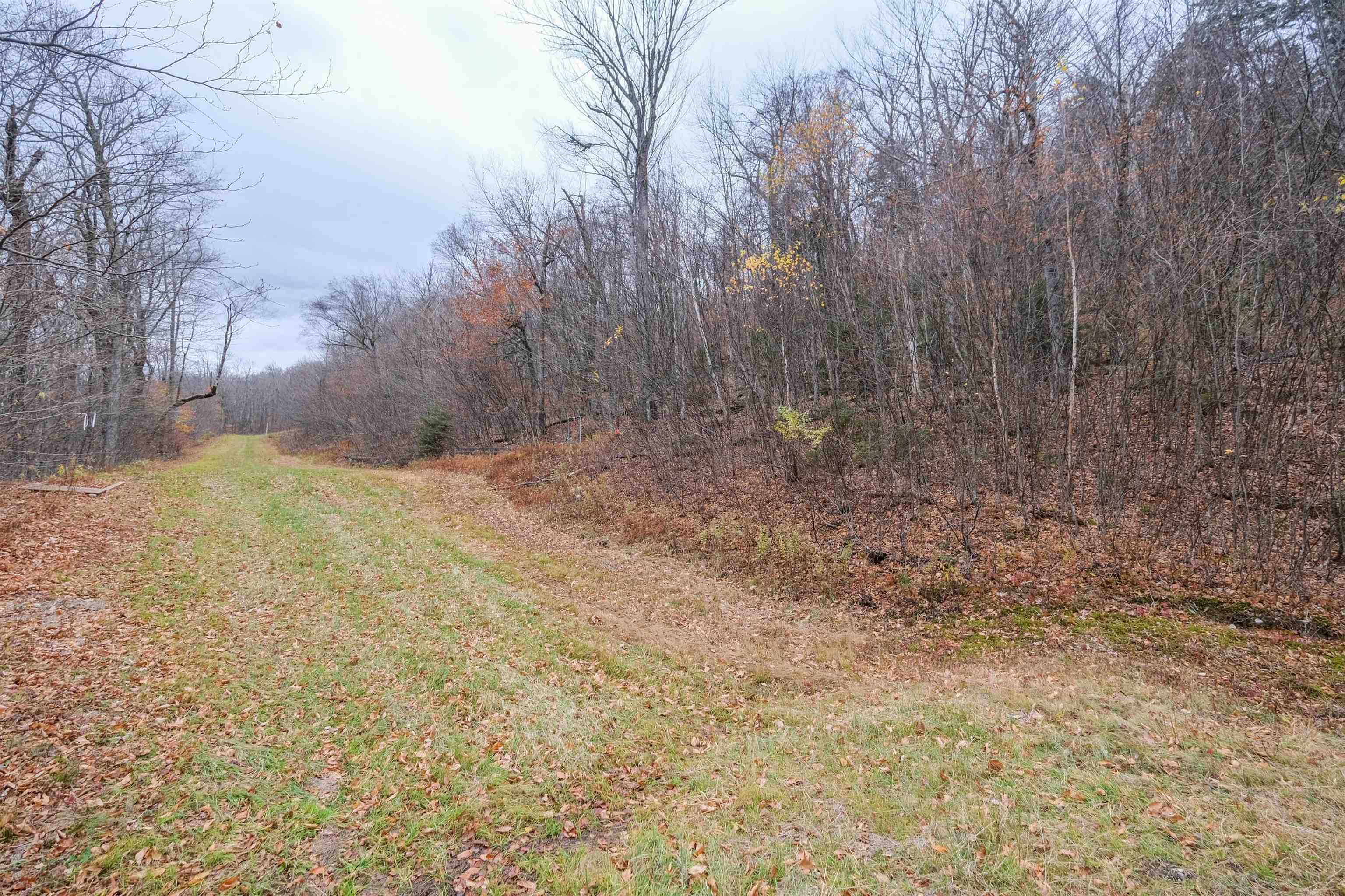 Homes for sale in Ludlow, VT | 0 Mountain Rd, Ludlow, VT 05149 | MLS# 5069010