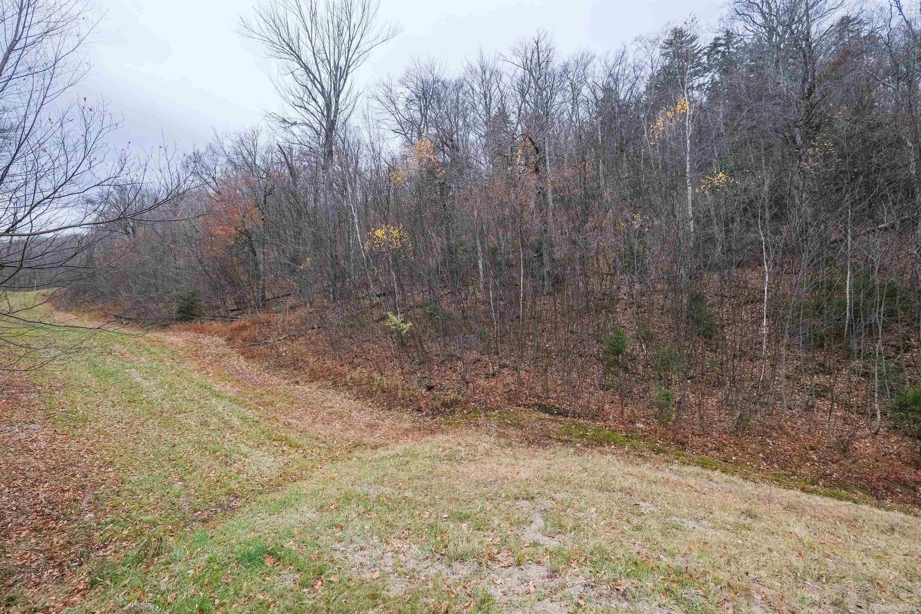 Homes for sale in Ludlow, VT | 0 Mountain Rd, Ludlow, VT 05149 | MLS# 5069010