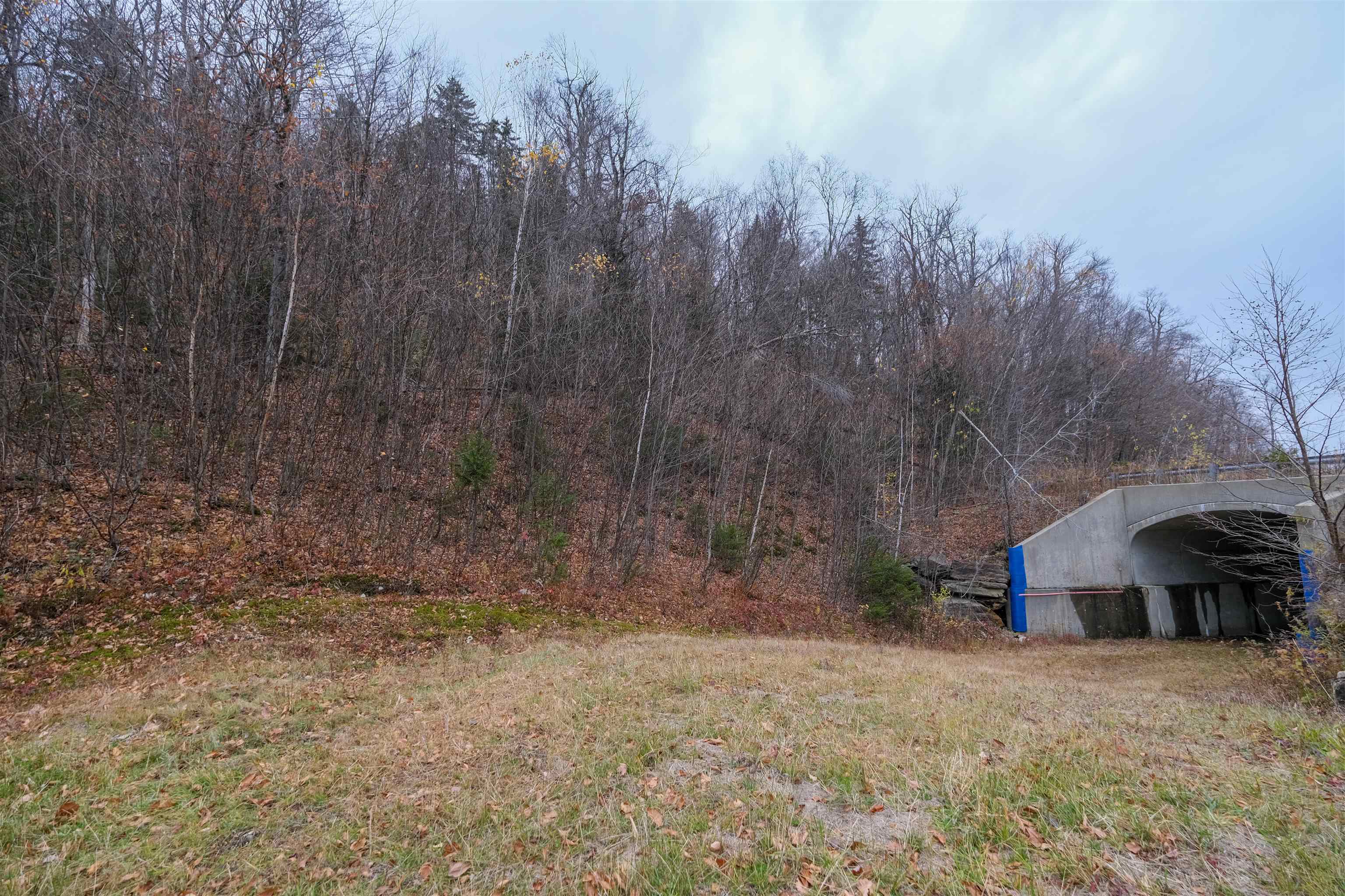 Homes for sale in Ludlow, VT | 0 Mountain Rd, Ludlow, VT 05149 | MLS# 5069010