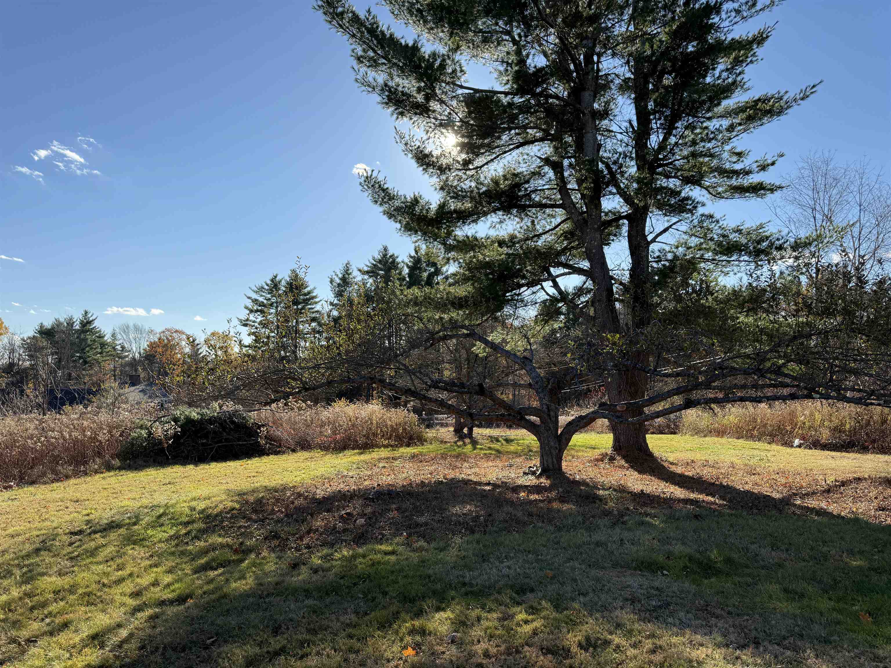 MLS #5069062 image #48