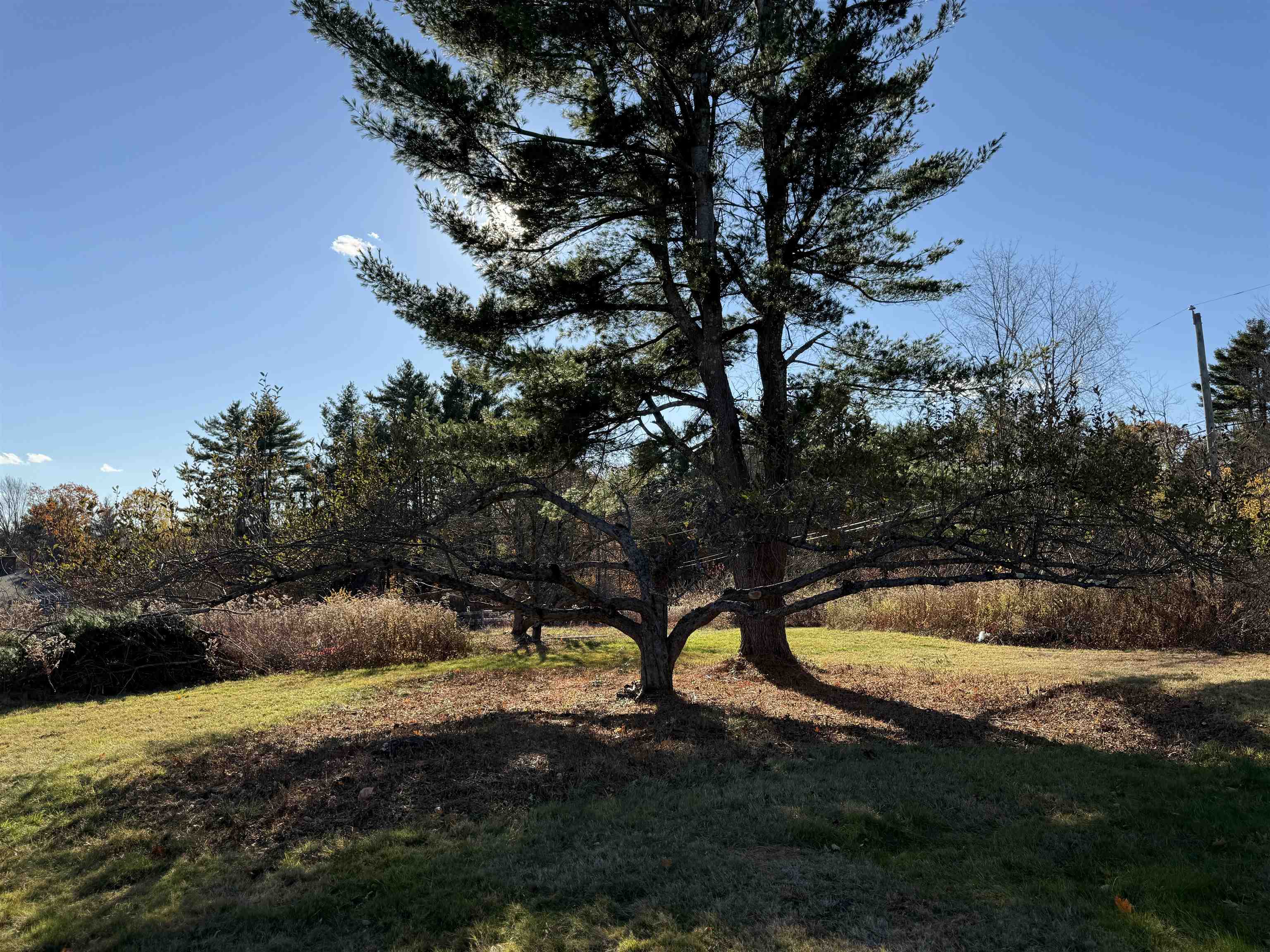 MLS #5069062 image #49