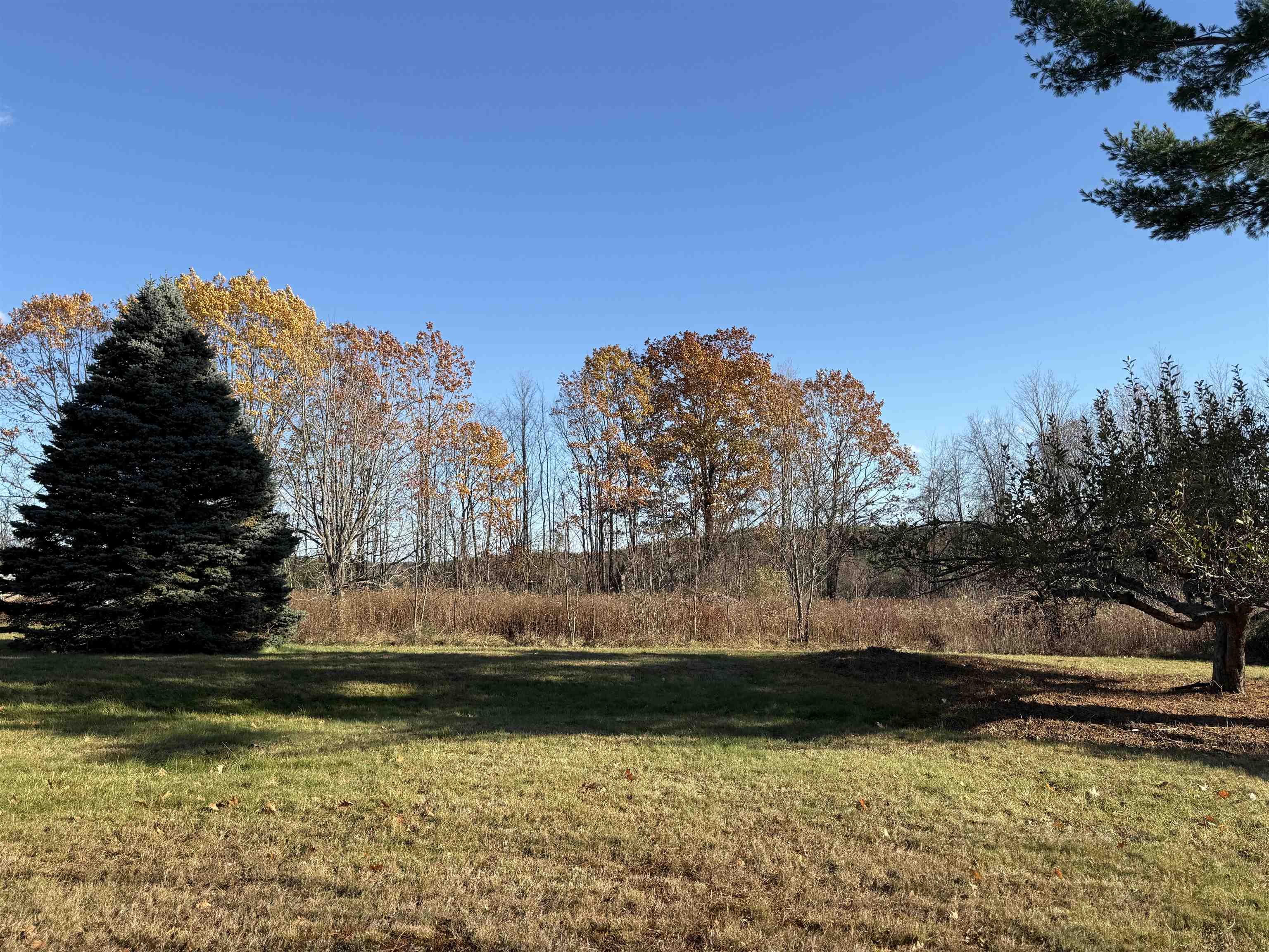 MLS #5069062 image #54