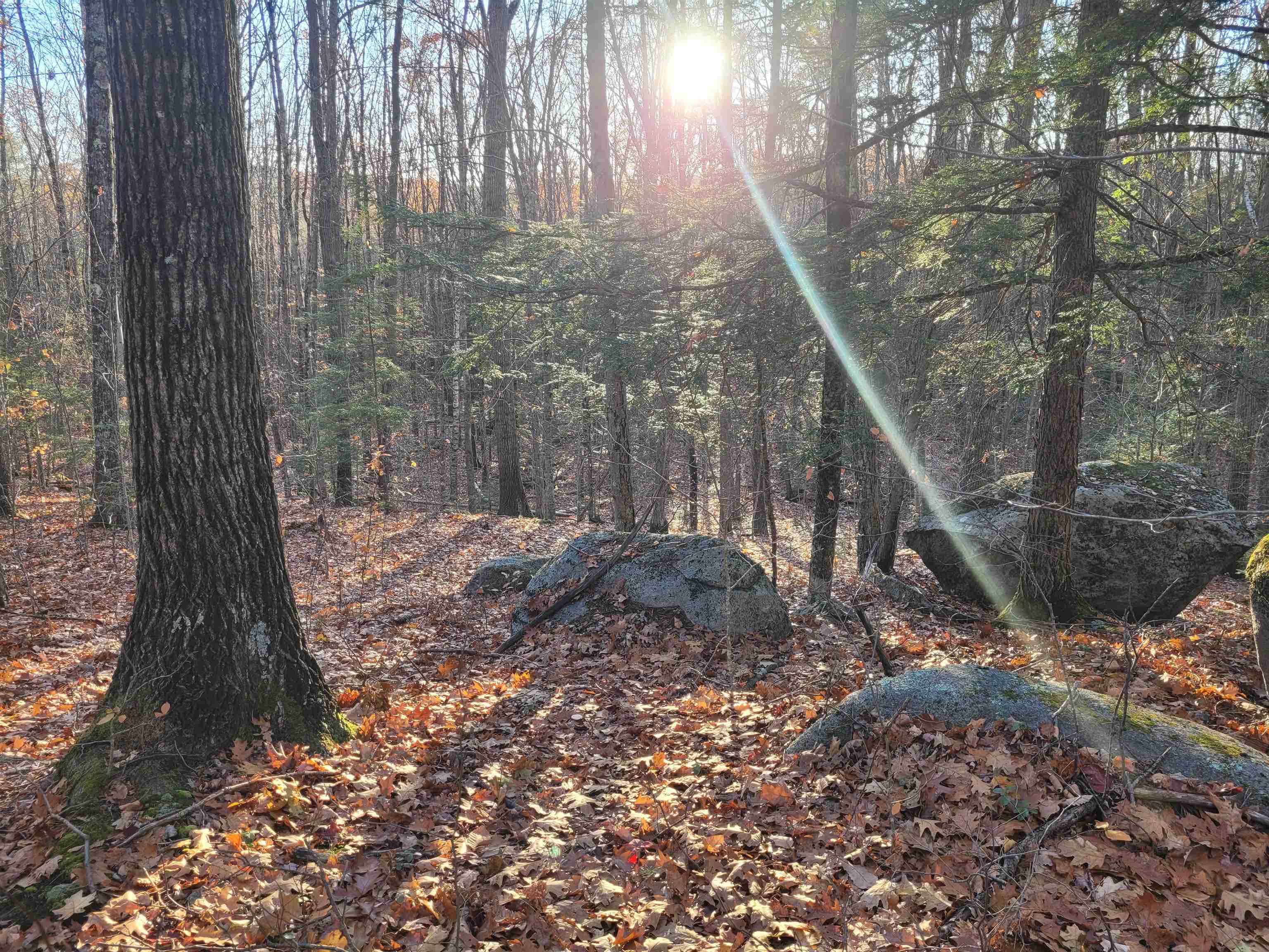 Homes for sale in Winchester, NH | 0 Old Tipping Rock Rd, Winchester, NH 03470 | MLS# 5069068