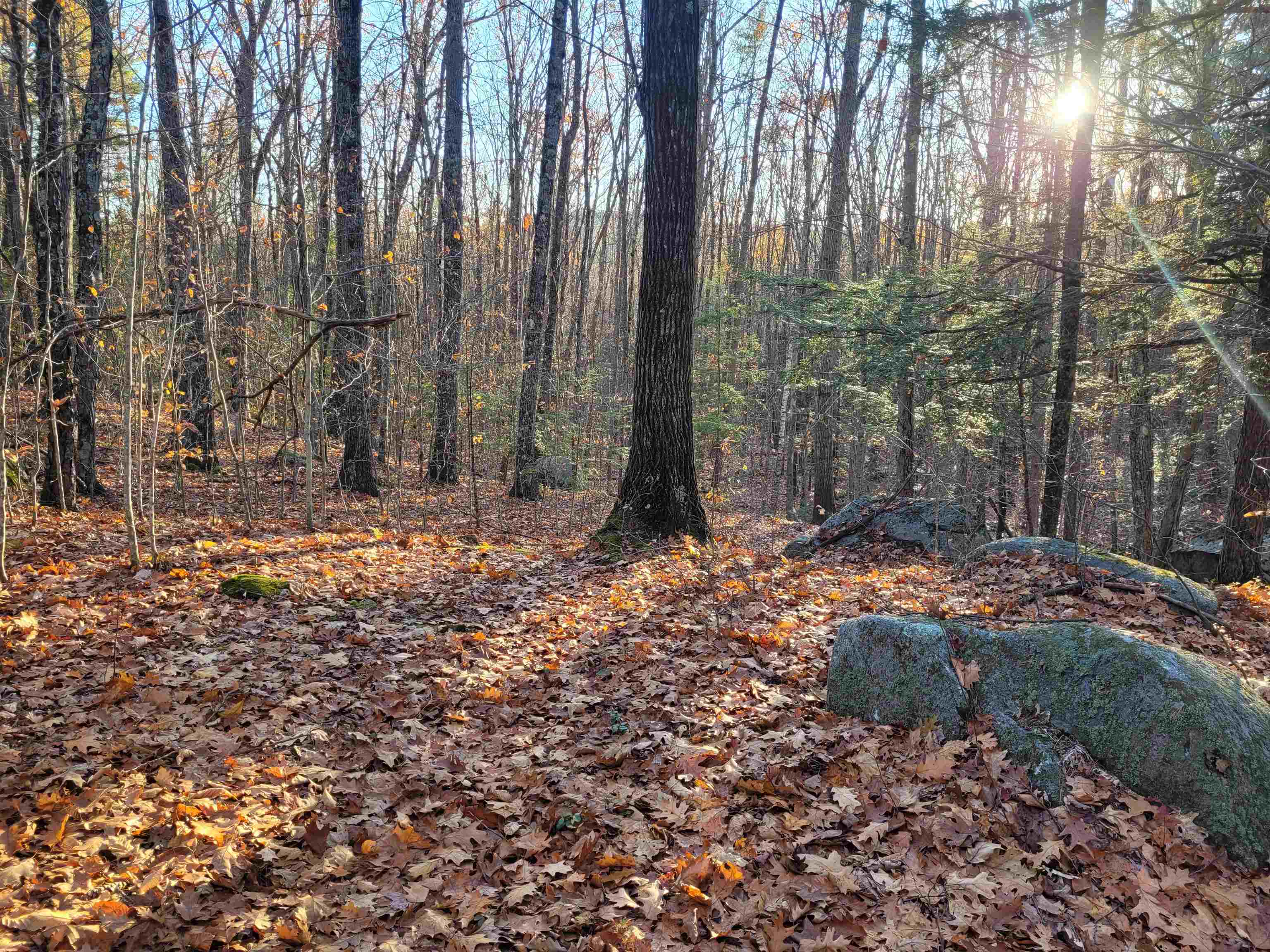 Homes for sale in Winchester, NH | 0 Old Tipping Rock Rd, Winchester, NH 03470 | MLS# 5069068