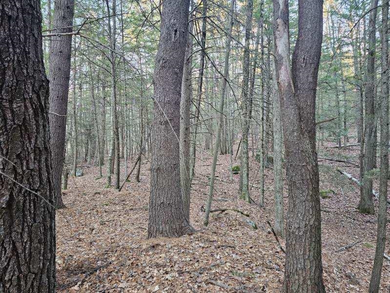 Homes for sale in Winchester, NH | 0 Old Tipping Rock Rd, Winchester, NH 03470 | MLS# 5069068