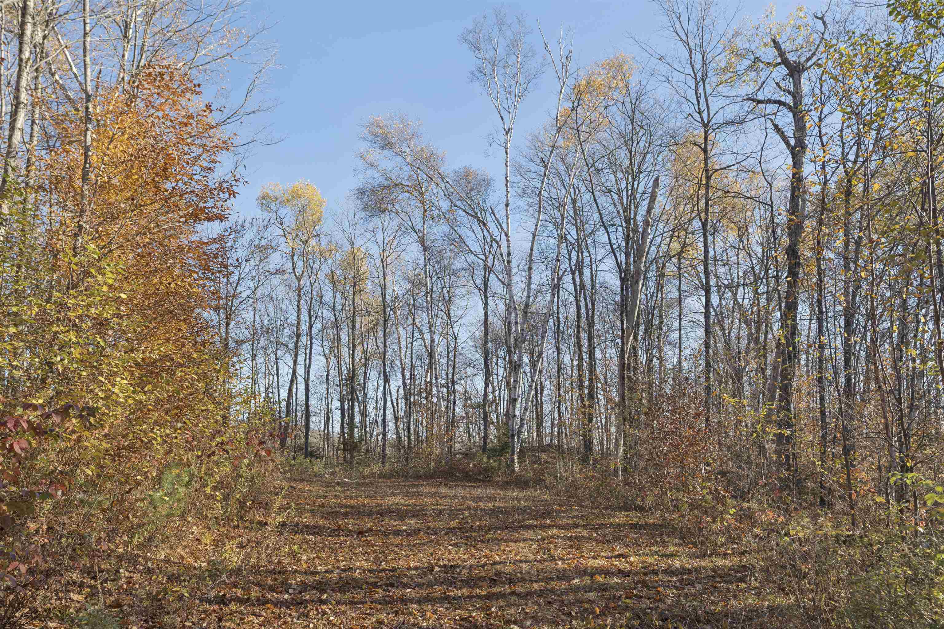 Homes for sale in Pomfret, VT | 00 Wild Apple Rd, Pomfret, VT 05067 | MLS# 5069076