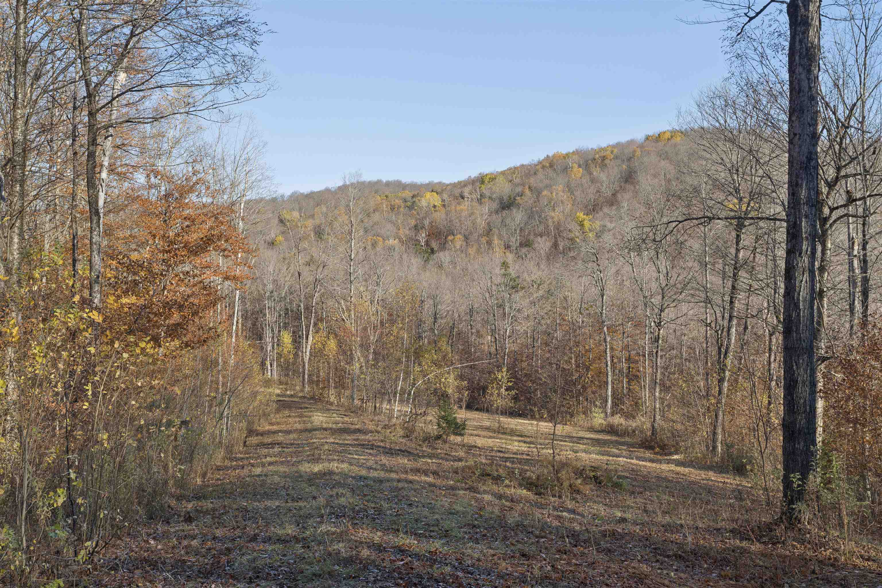 Homes for sale in Pomfret, VT | 00 Wild Apple Rd, Pomfret, VT 05067 | MLS# 5069076