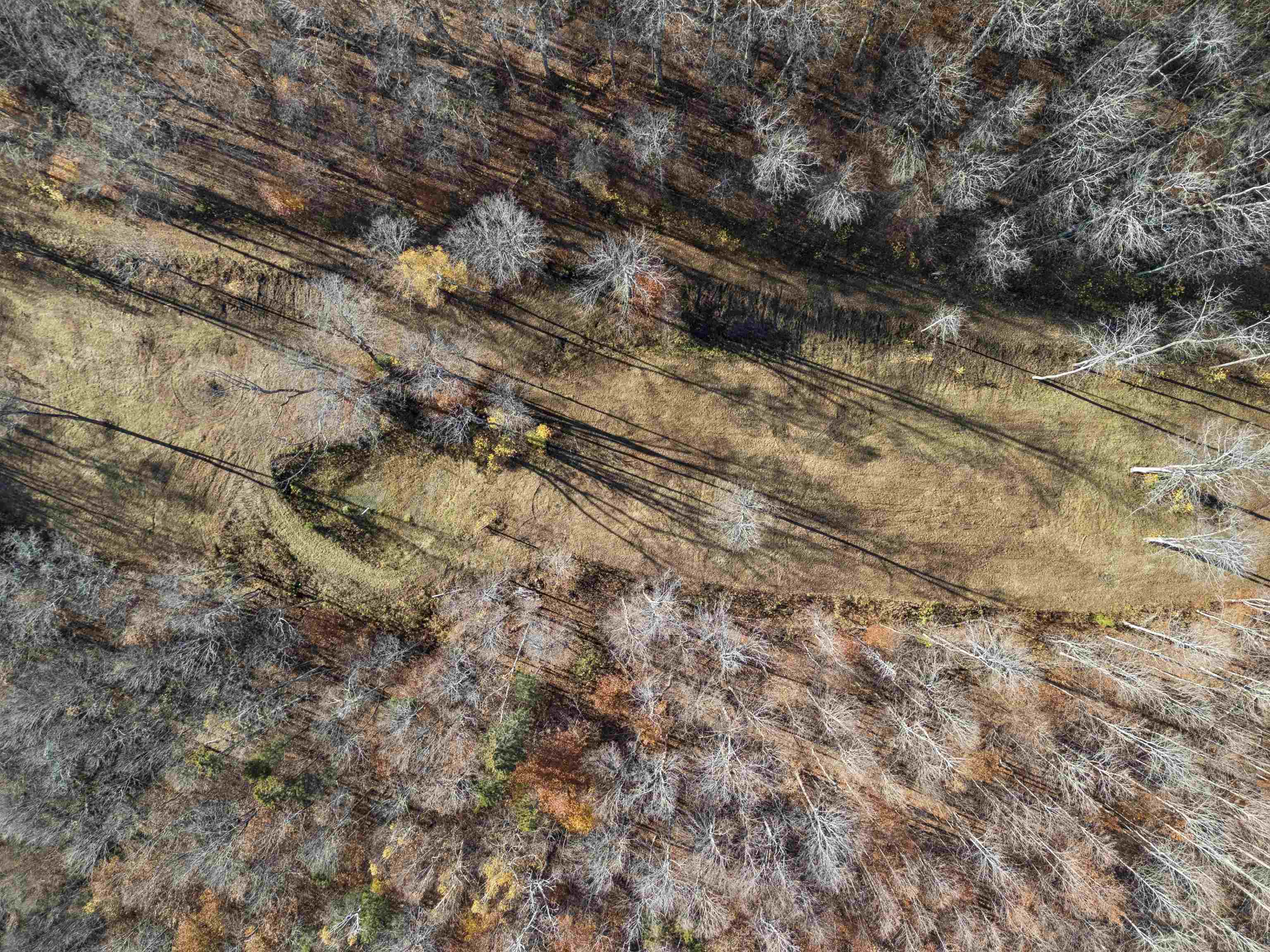 Homes for sale in Pomfret, VT | 00 Wild Apple Rd, Pomfret, VT 05067 | MLS# 5069076