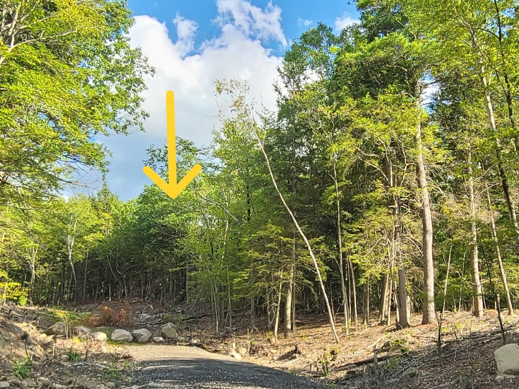 Homes for sale in New Durham, NH | 00 Innsbruck Dr, New Durham, NH 03855 | MLS# 5069093