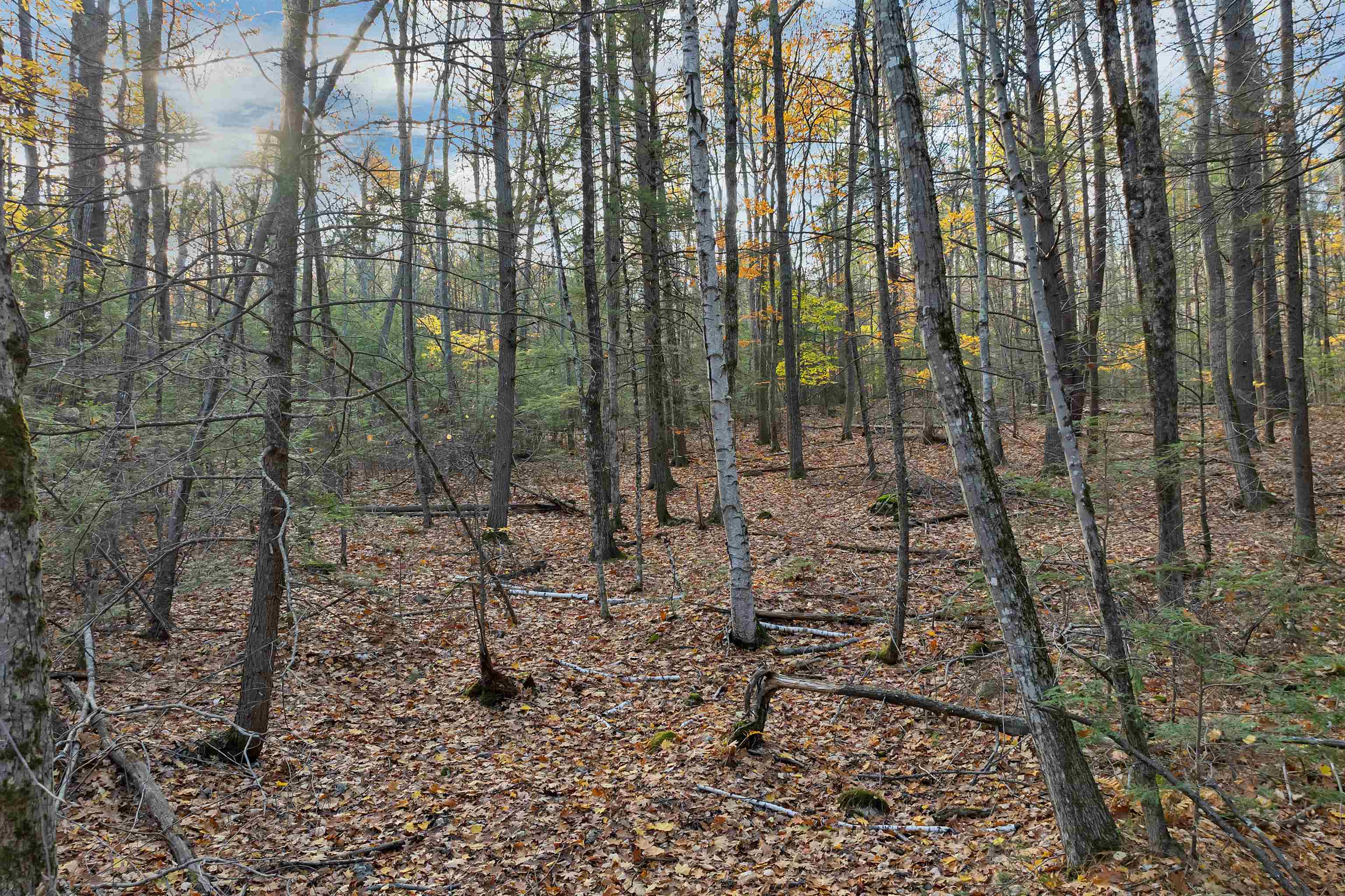 MLS #5069105 image #10