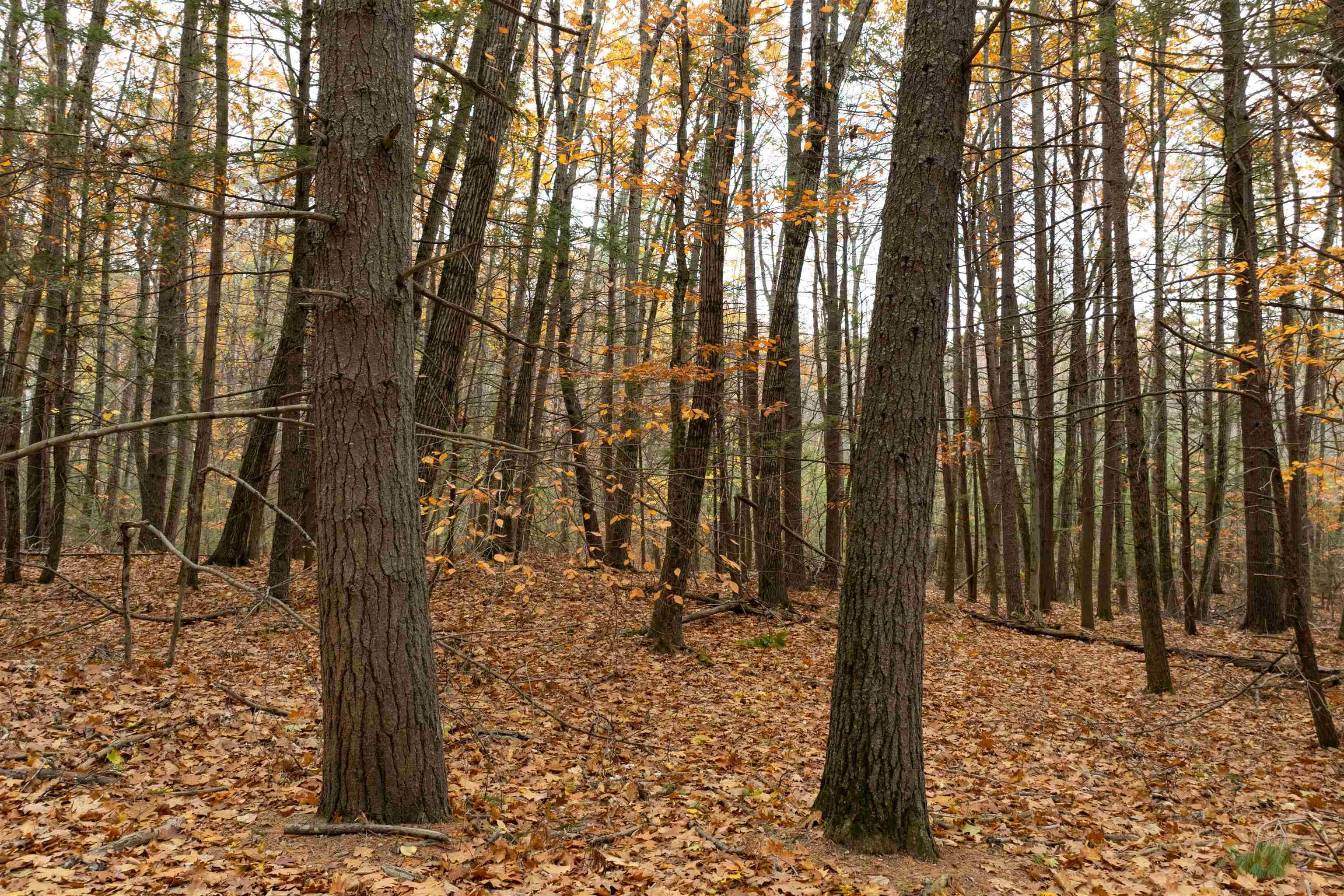 MLS #5069105 image #18