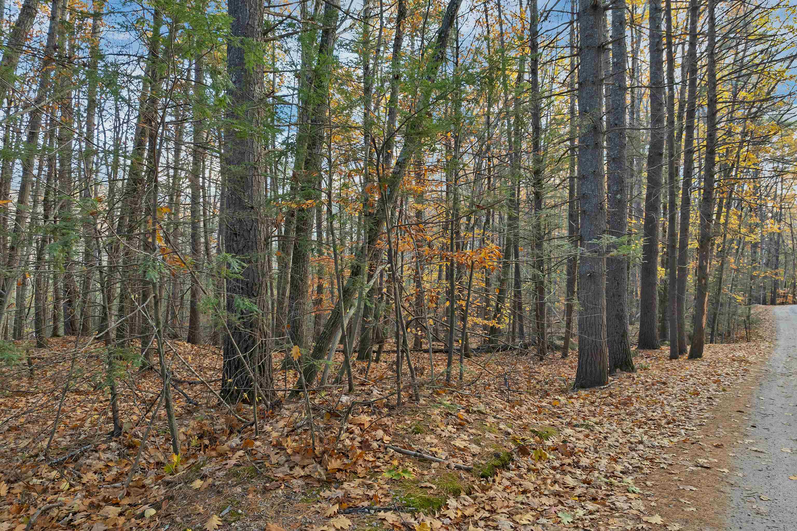 MLS #5069105 image #19