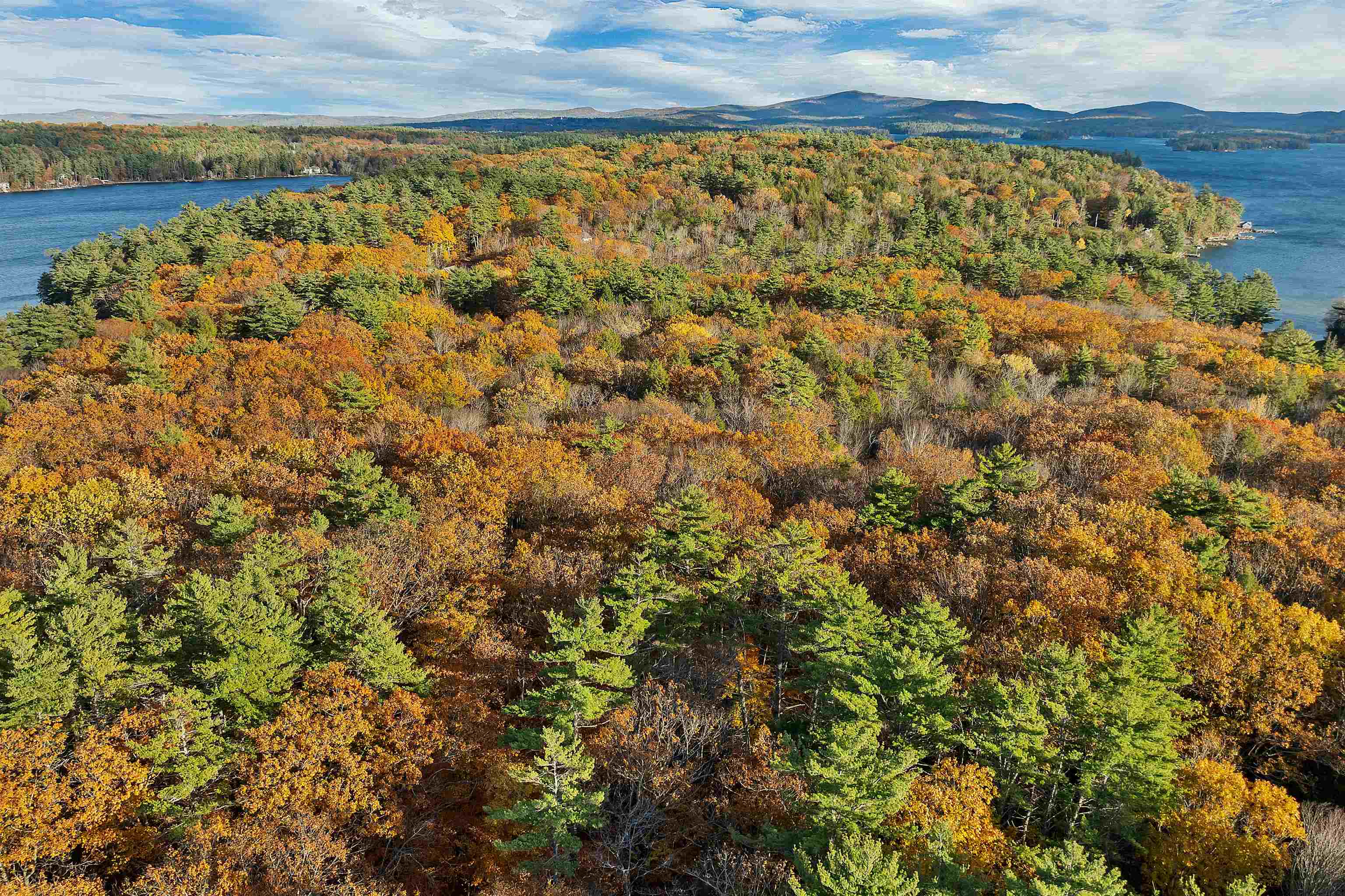 MLS #5069105 image #22