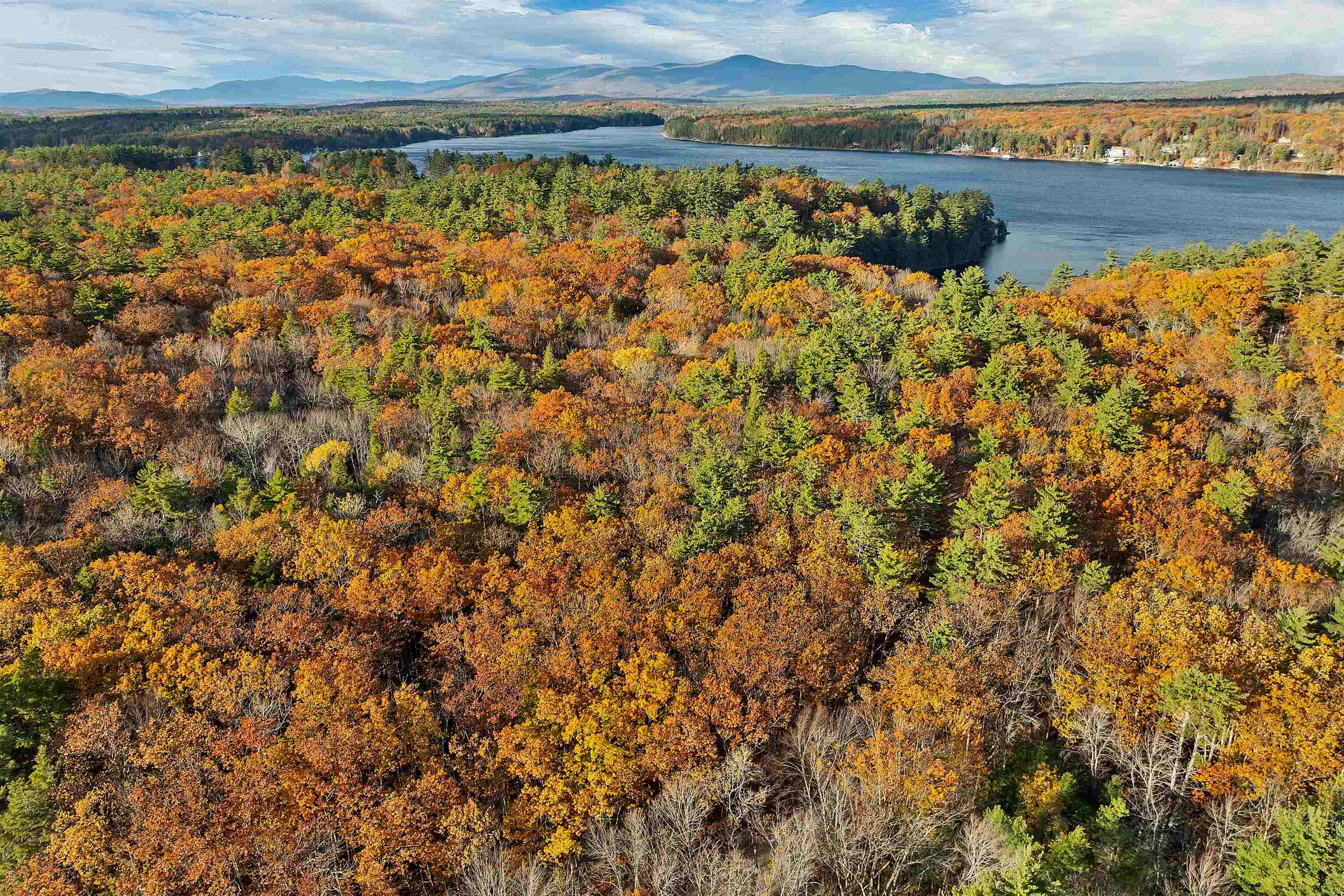 MLS #5069105 image #24