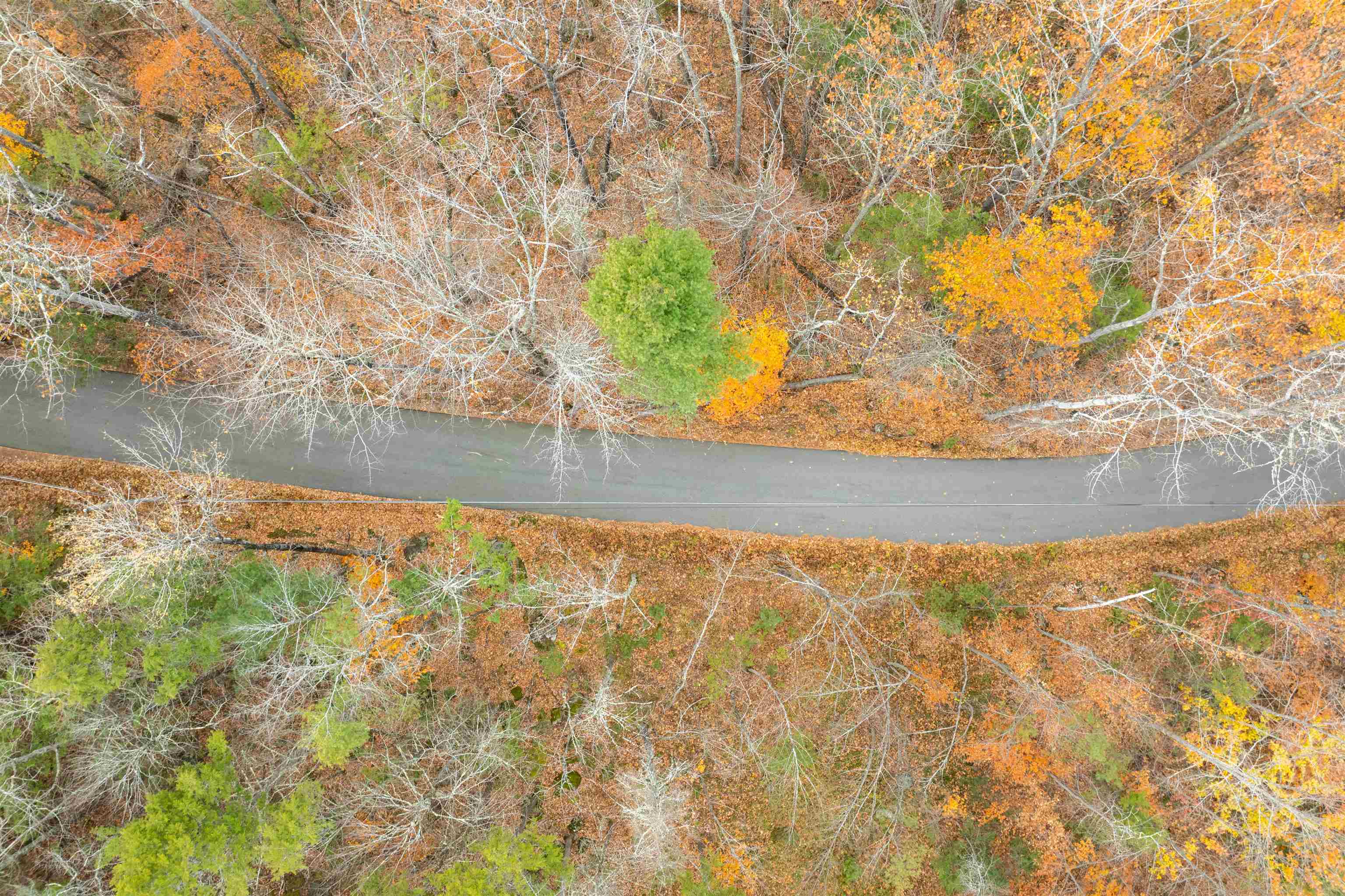 MLS #5069105 image #5