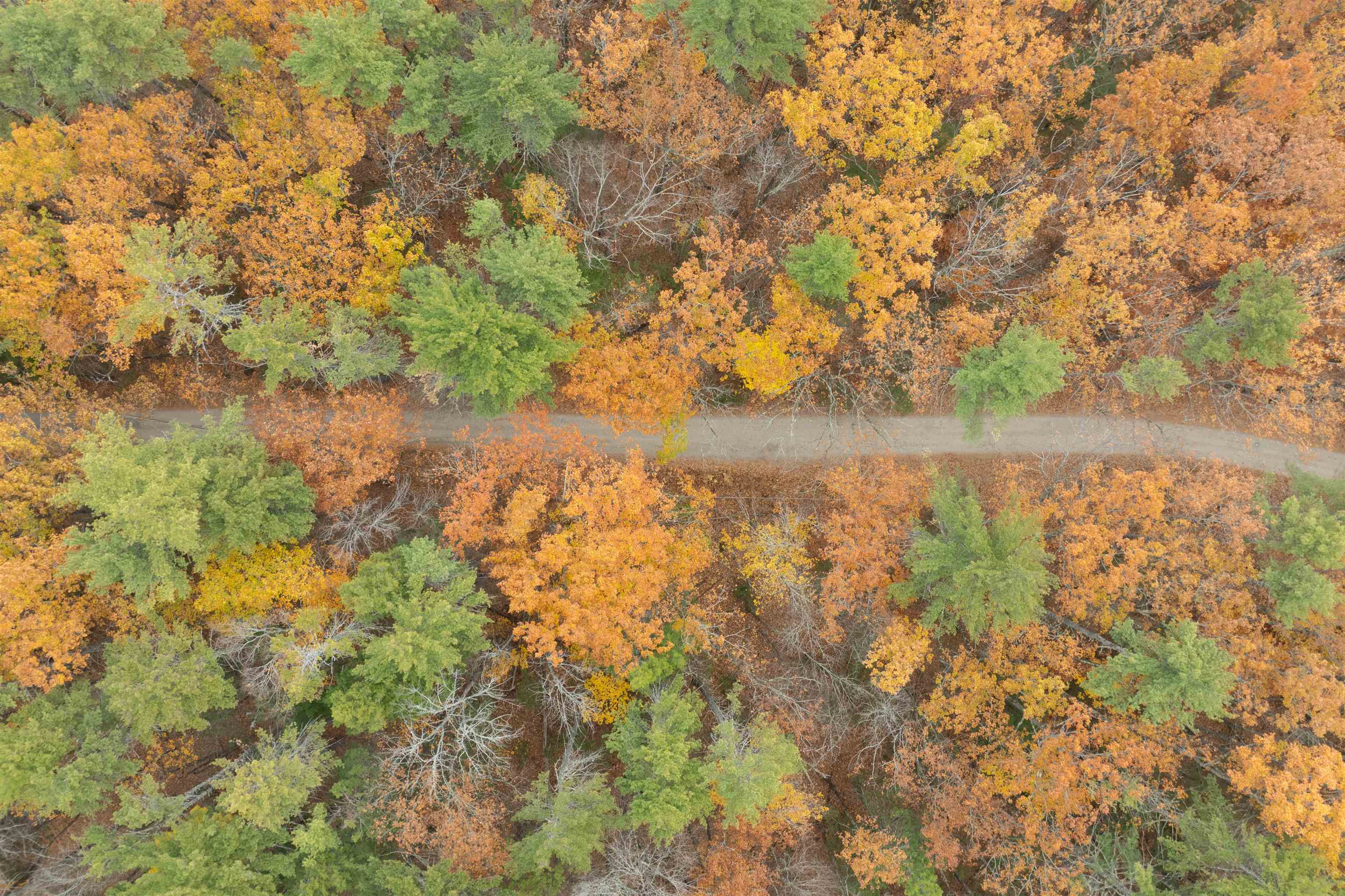 MLS #5069105 image #6