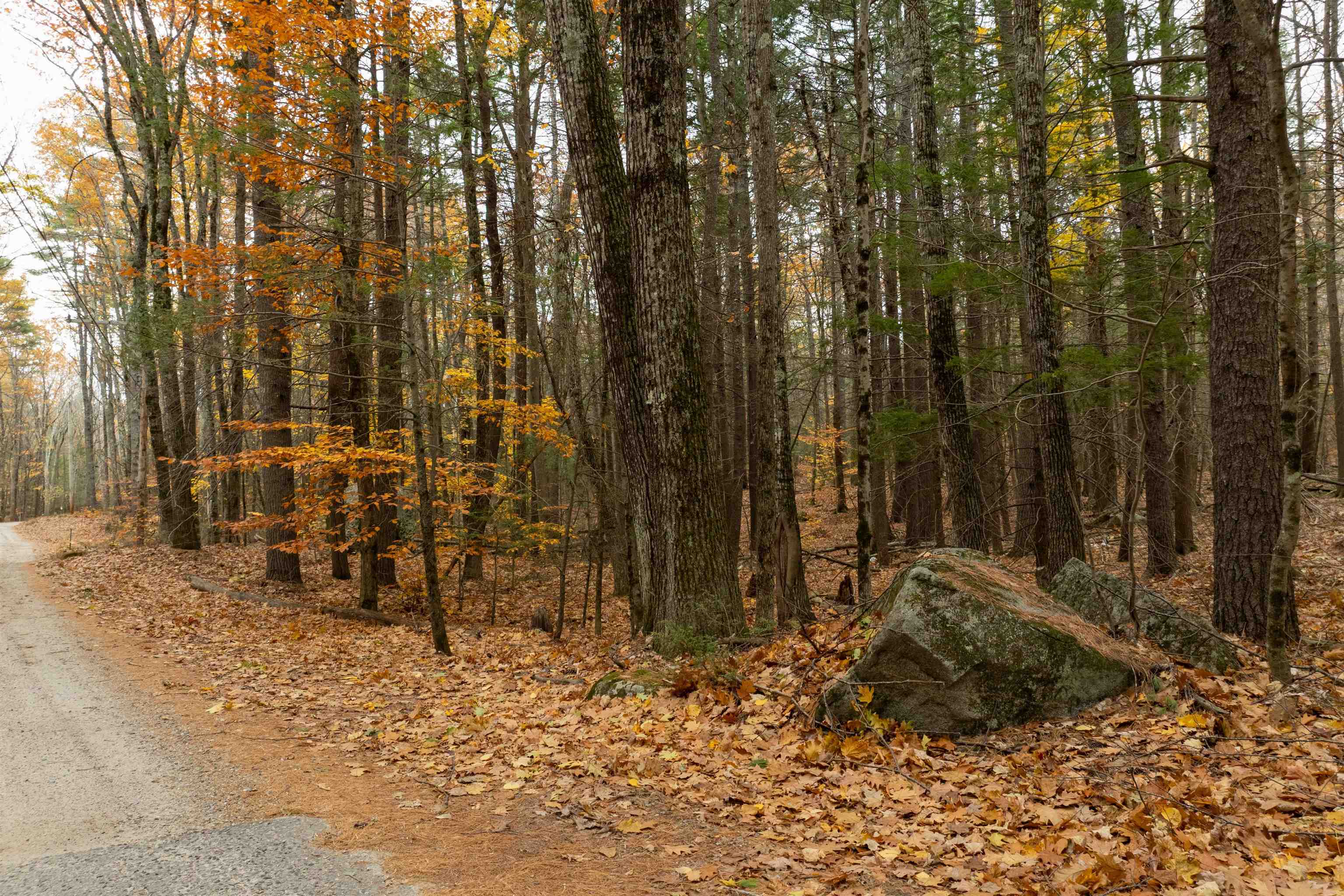 MLS #5069105 image #8