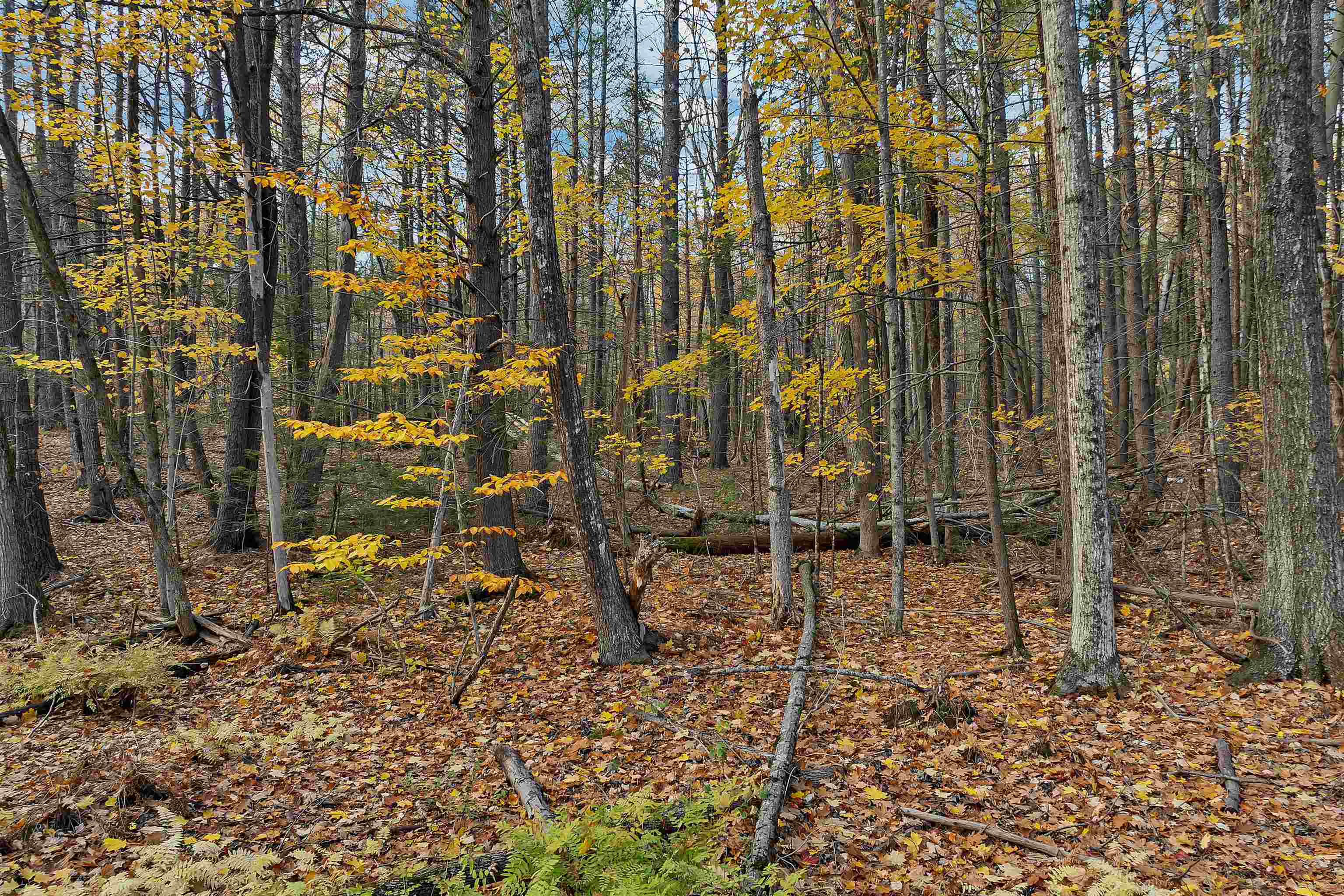 MLS #5069105 image #9