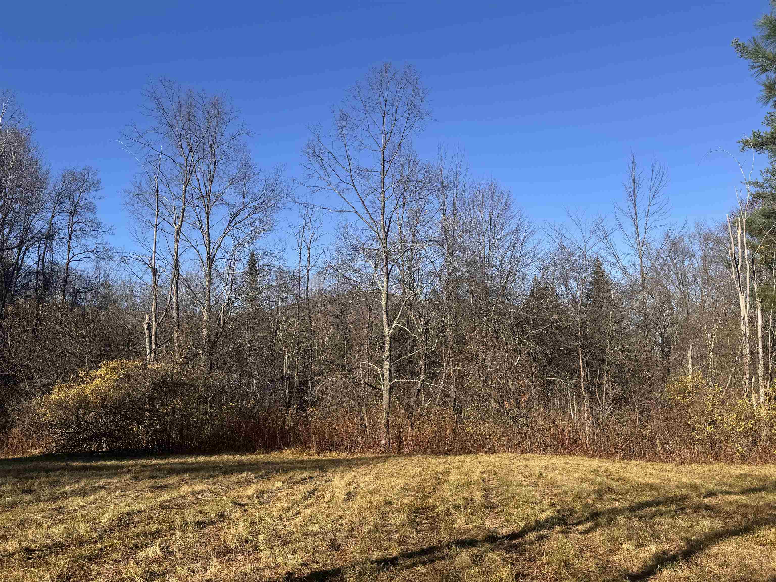 Homes for sale in Sunderland, VT | Lot 21 Sunderland Hill Rd, Sunderland, VT 05250 | MLS# 5069111