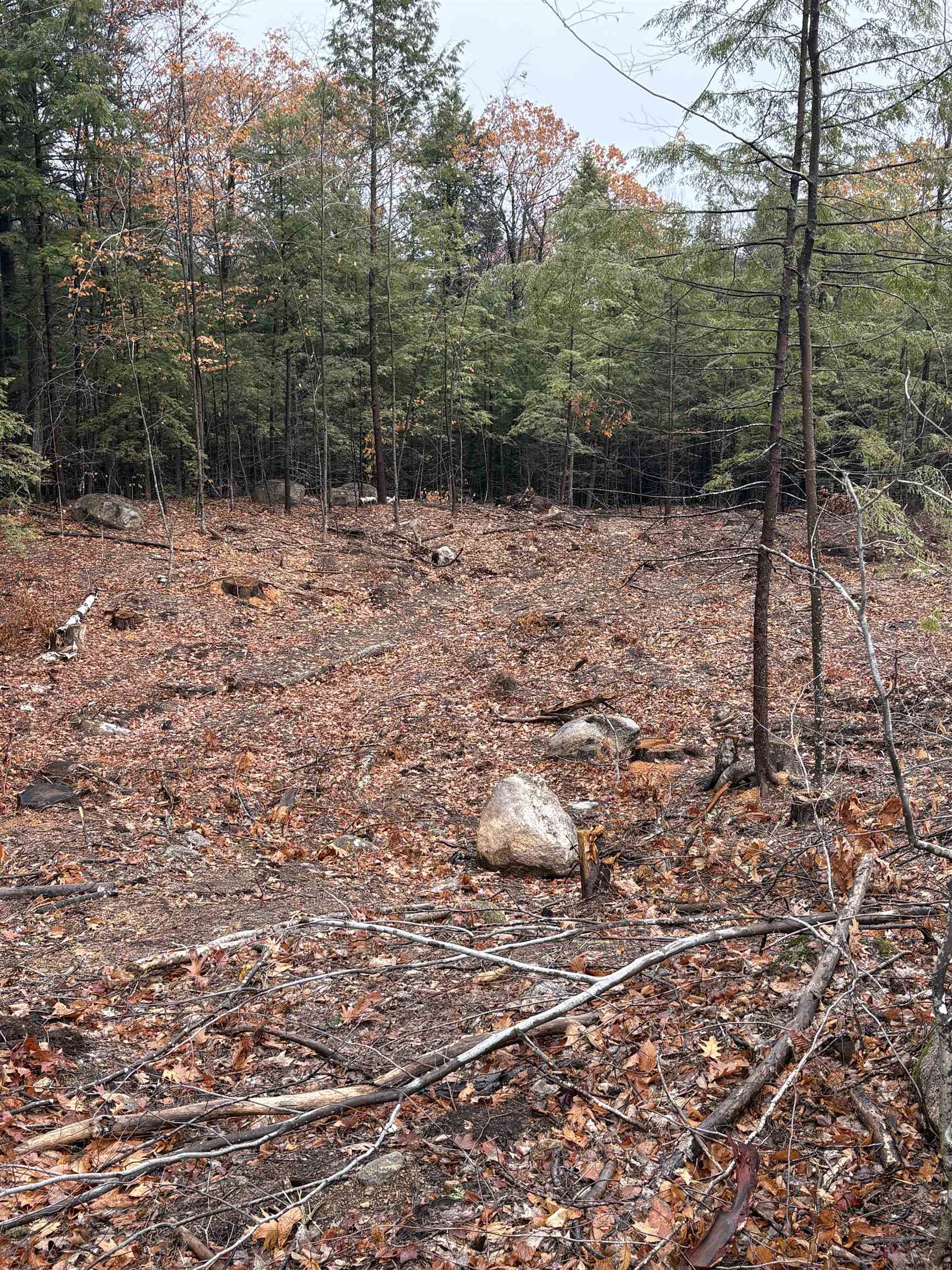 Homes for sale in Ossipee, NH | 7 Sugarloaf Dr, Ossipee, NH 03814 | MLS# 5069132