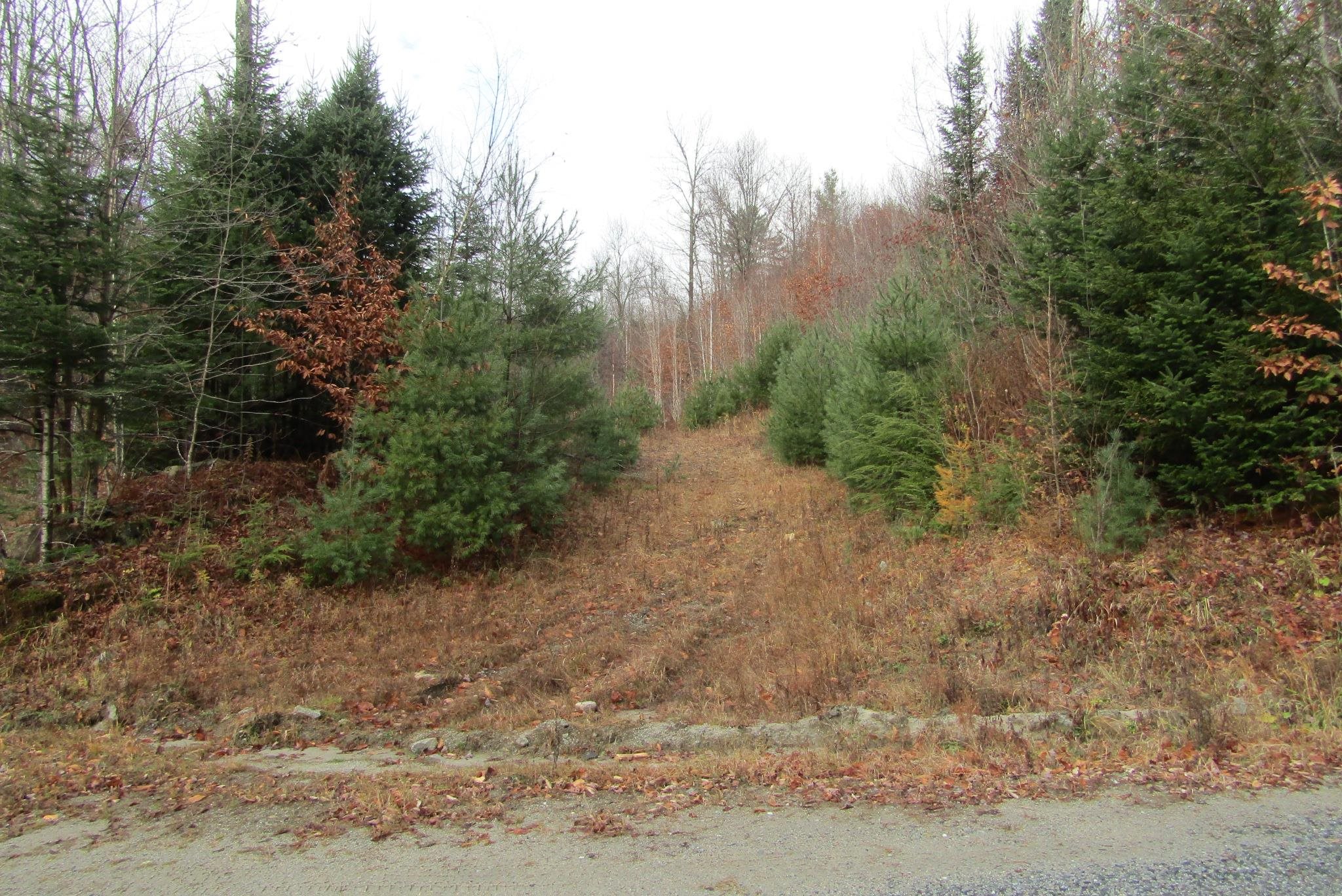 Homes for sale in Topsham, VT | 105 Honey Corners Rd, Topsham, VT 05076 | MLS# 5069137