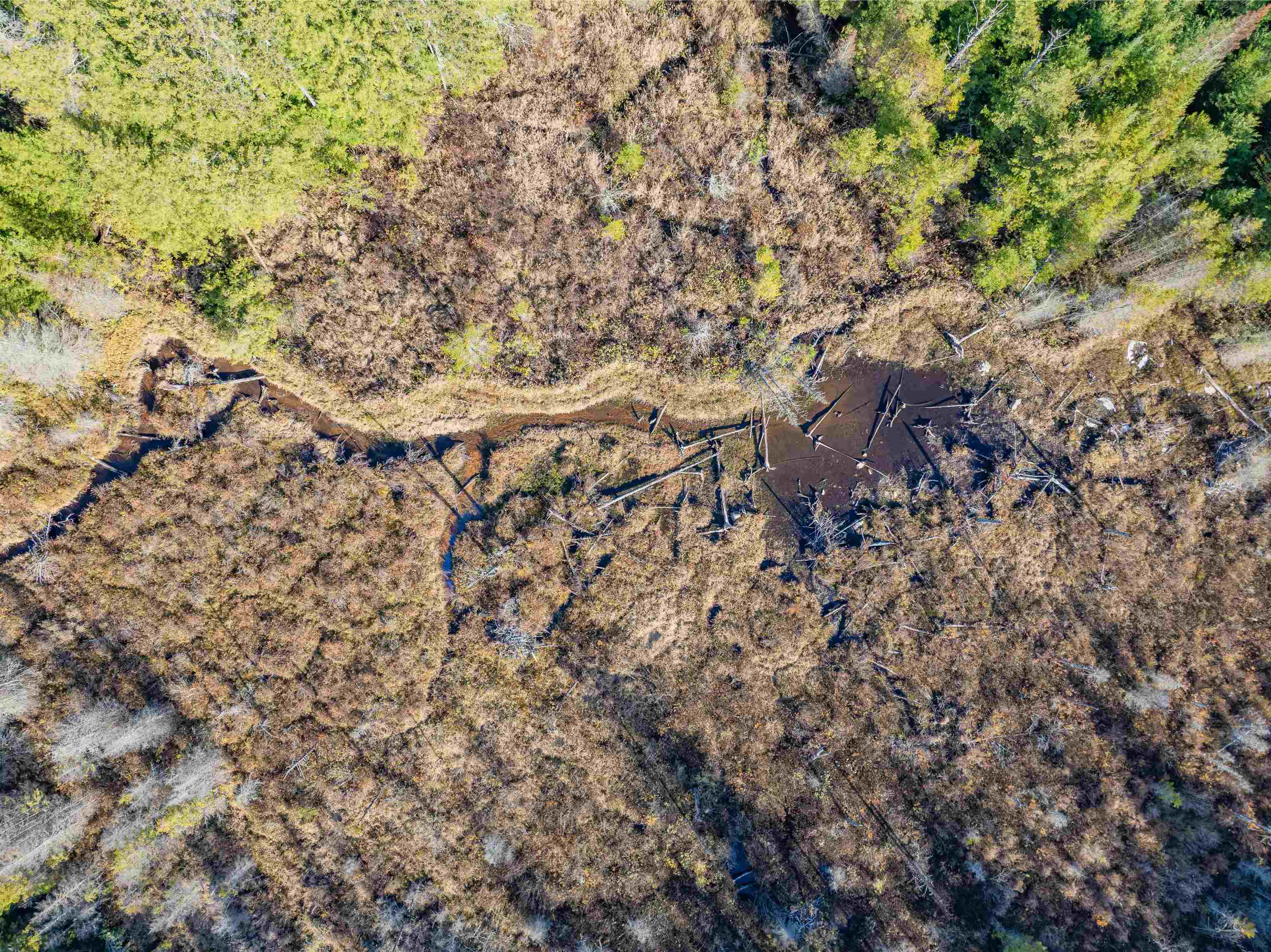 Homes for sale in Johnson, VT | 2100 Clay Hill Rd, Johnson, VT 05656 | MLS# 5069138